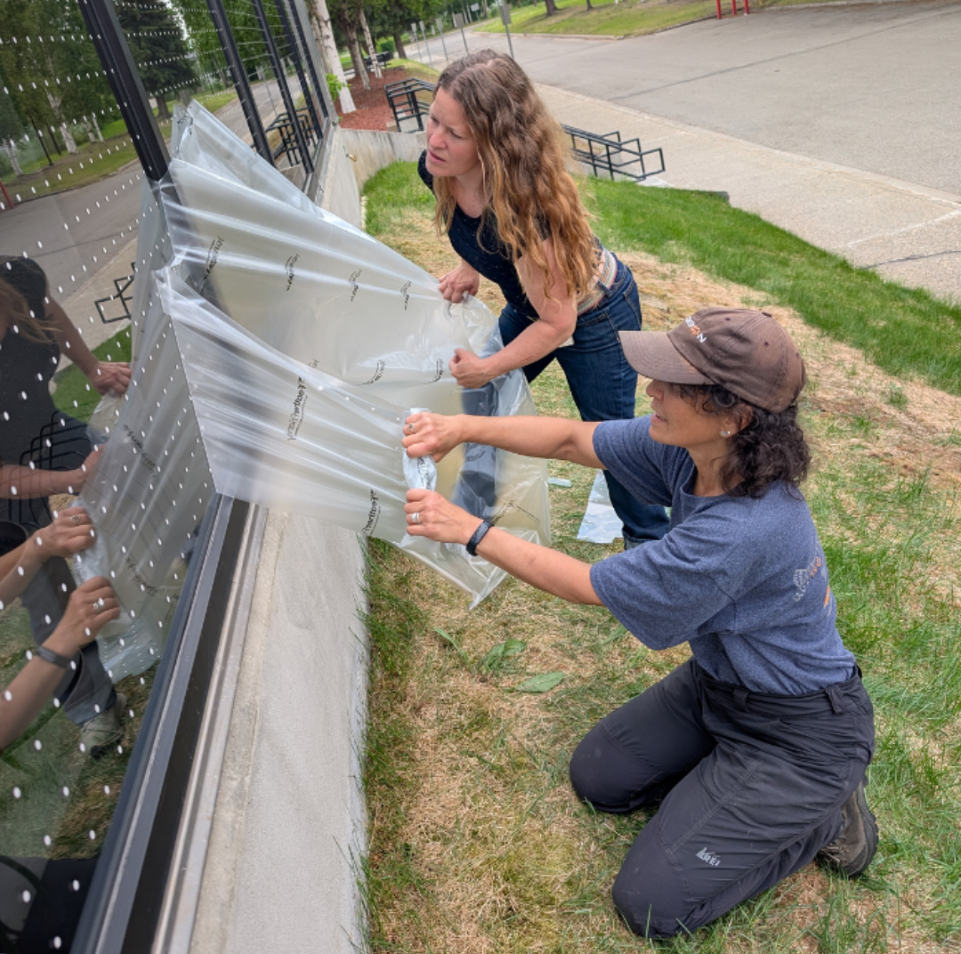 The Hidden Danger of Bird-Glass Collisions