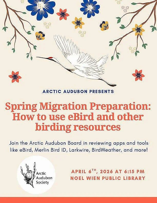 Spring Migration Preparation: How to use eBird and other digital birding resources