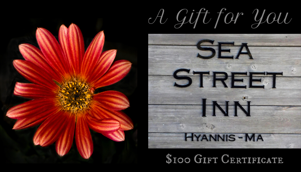 100 Sea St Inn Gift Card - landscape.png