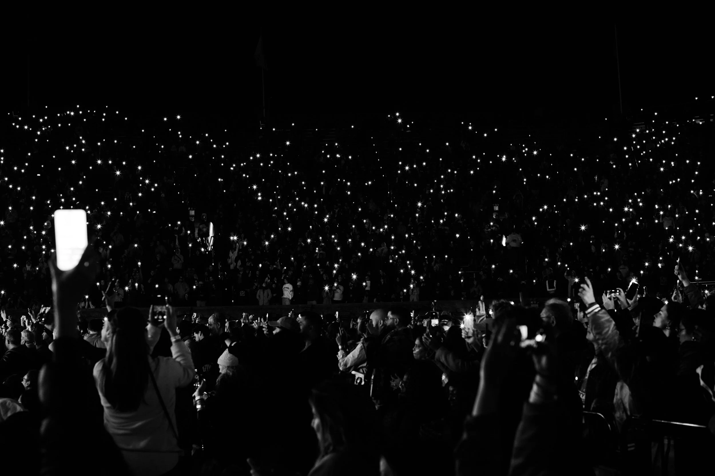 IMG_5137Taurat Hossain.jpeg