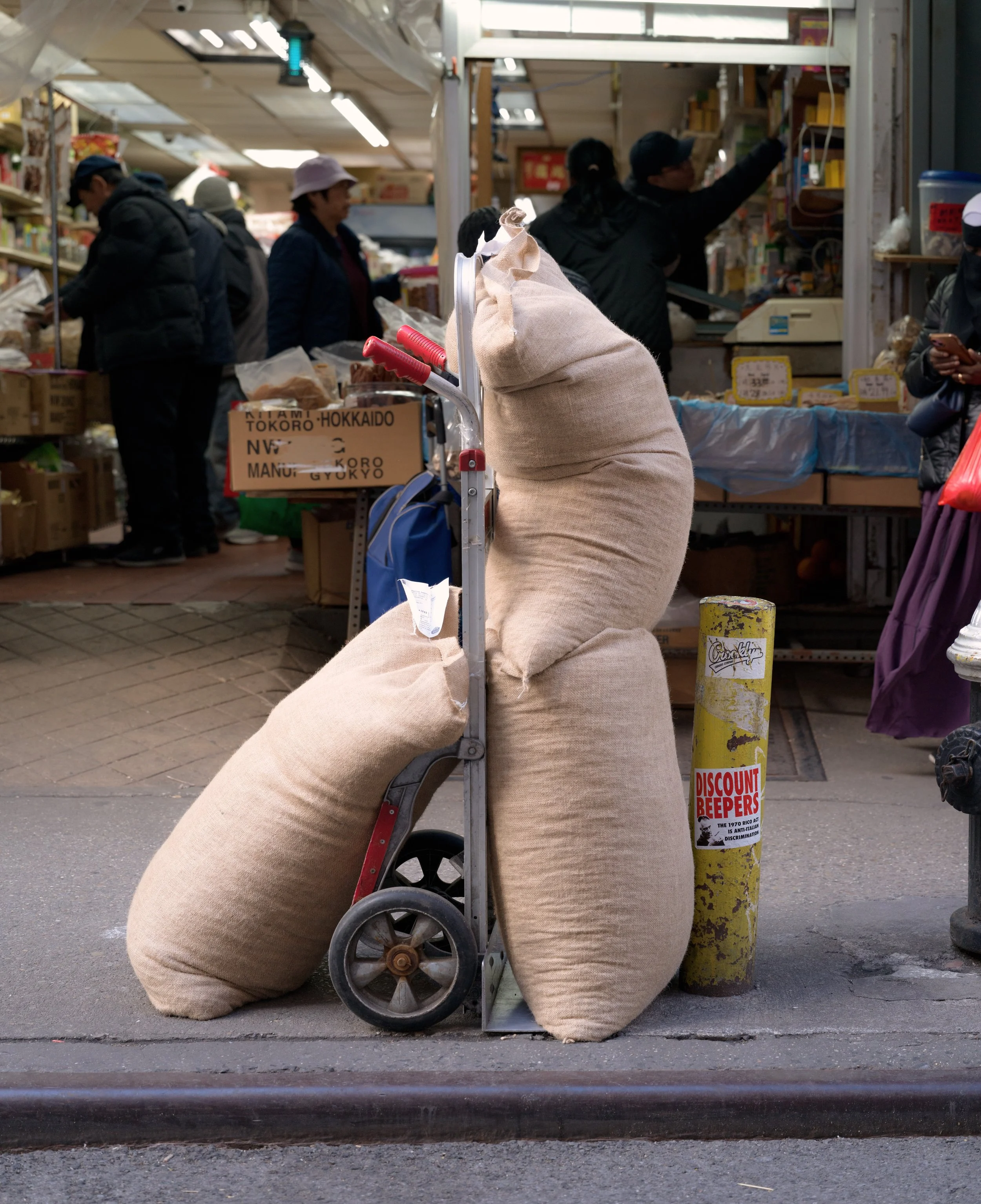 Chinatown, New York City. November 2026