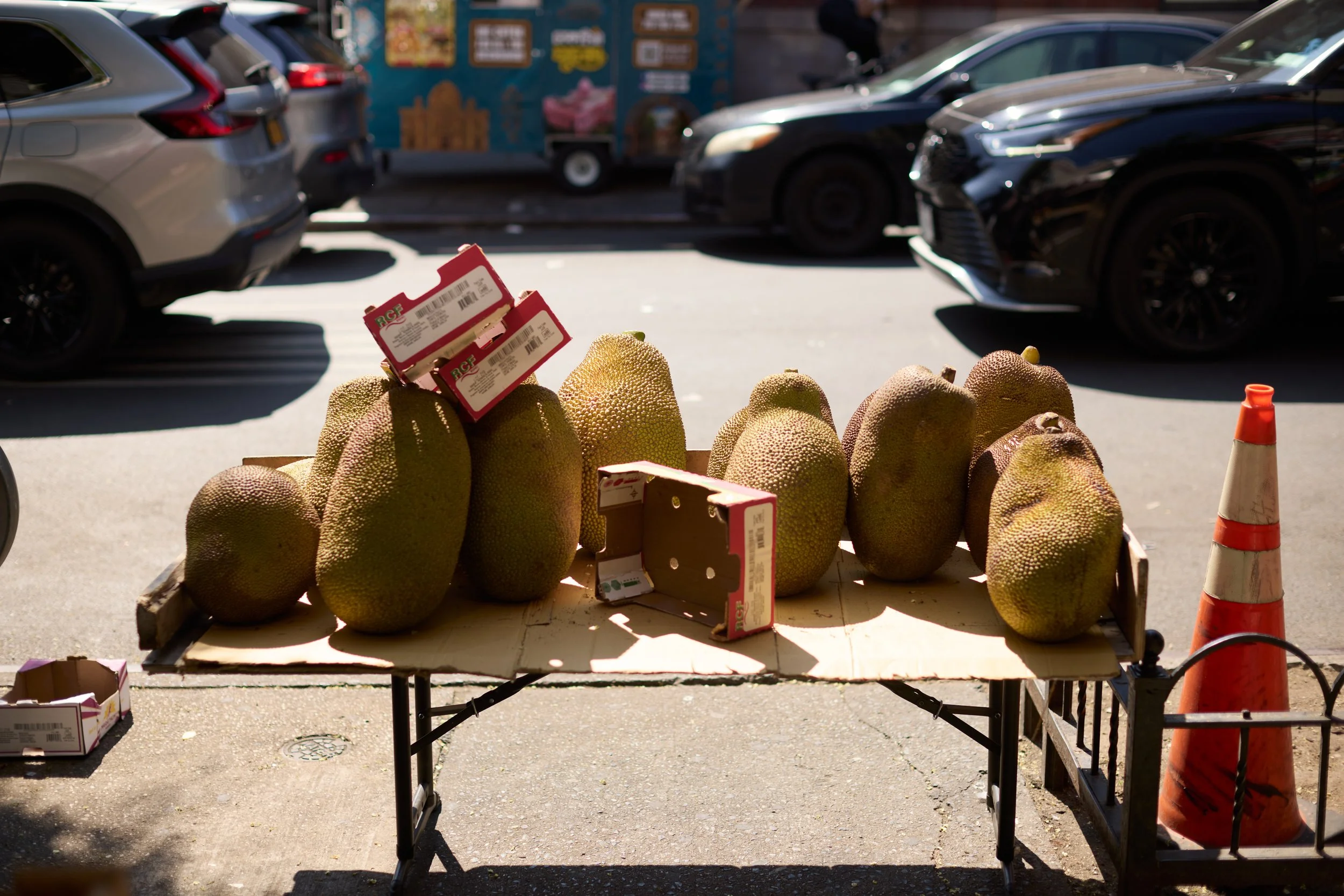 3J5A3583 Taurat Hossain.jpg