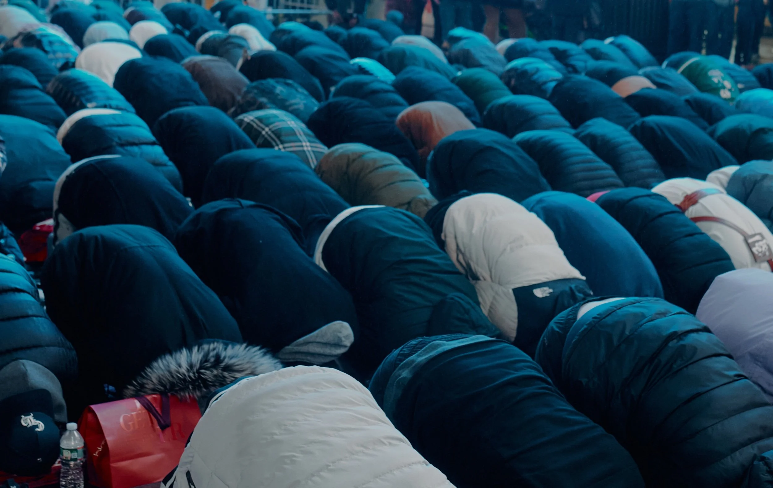 JR0A3479 Taurat Hossain.jpeg