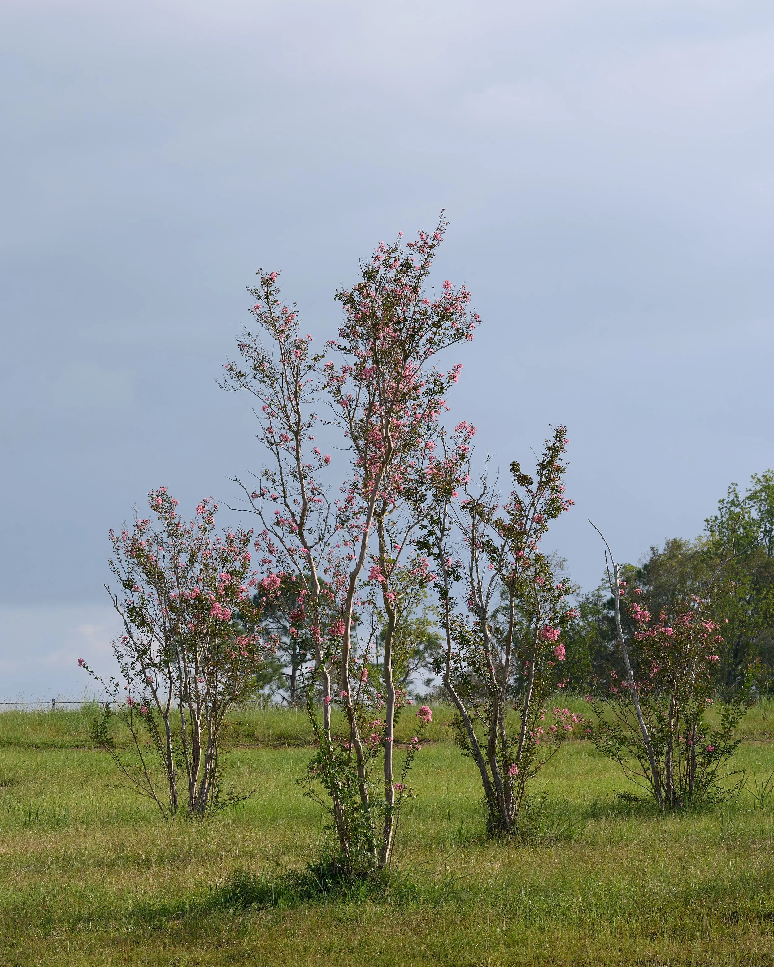 B0008041-Taurat-Hossain-2026-16-West-Story.jpg