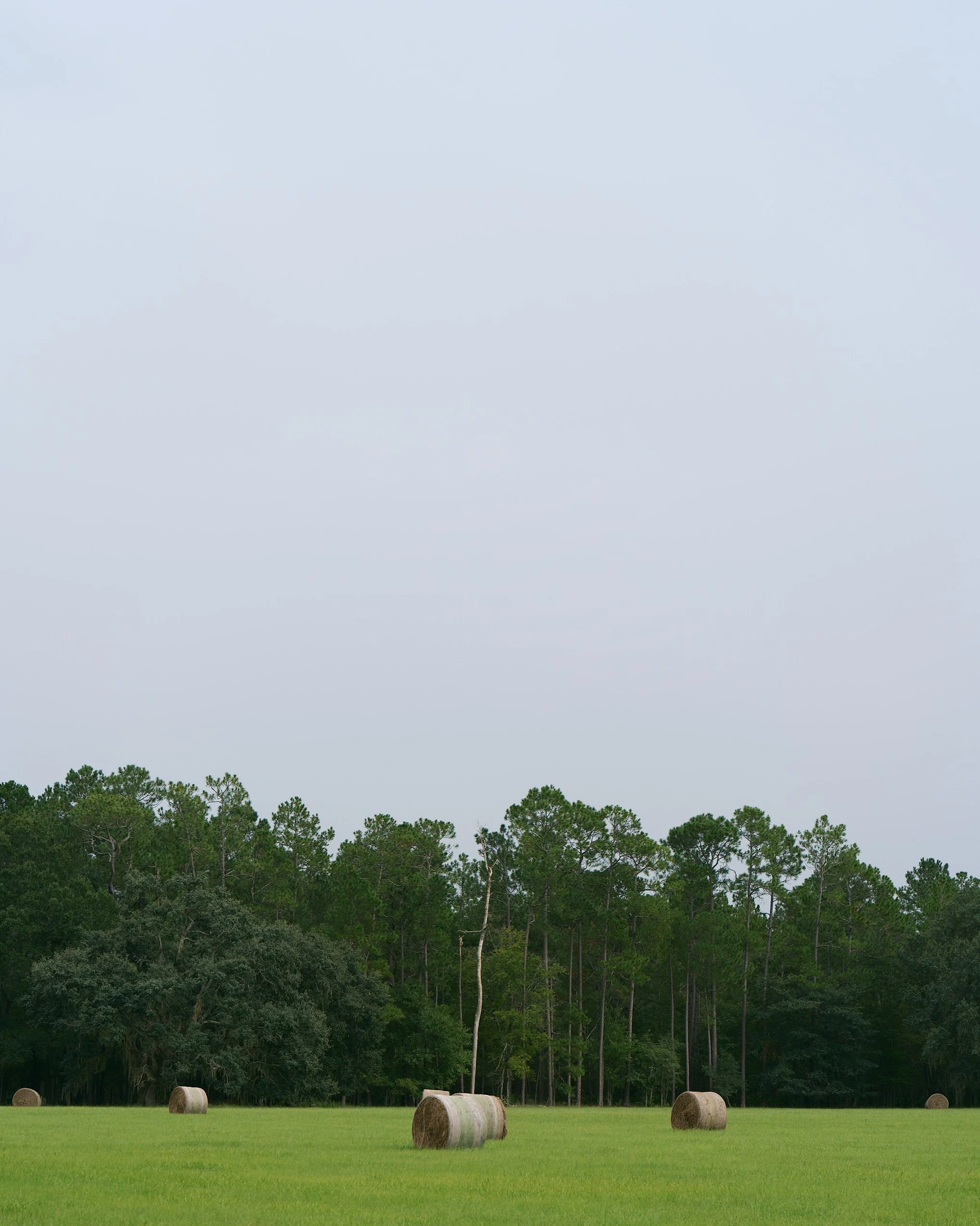 B0007989-Taurat-Hossain-2026-16-West-Story.jpg