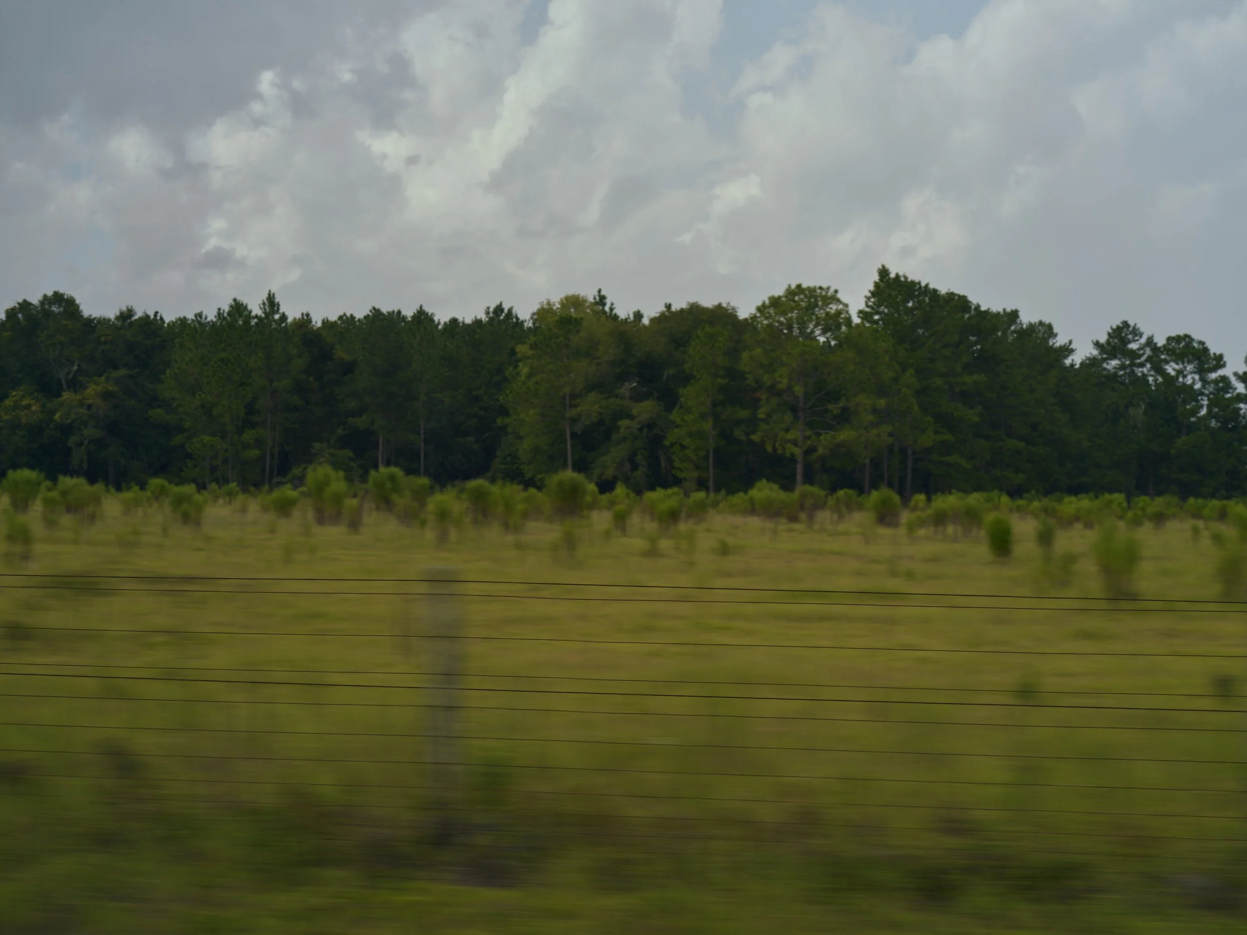 B0007999-Taurat-Hossain-2026-16-West-Story.jpg