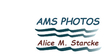 AMS Photos ~ Alice M. Starcke
