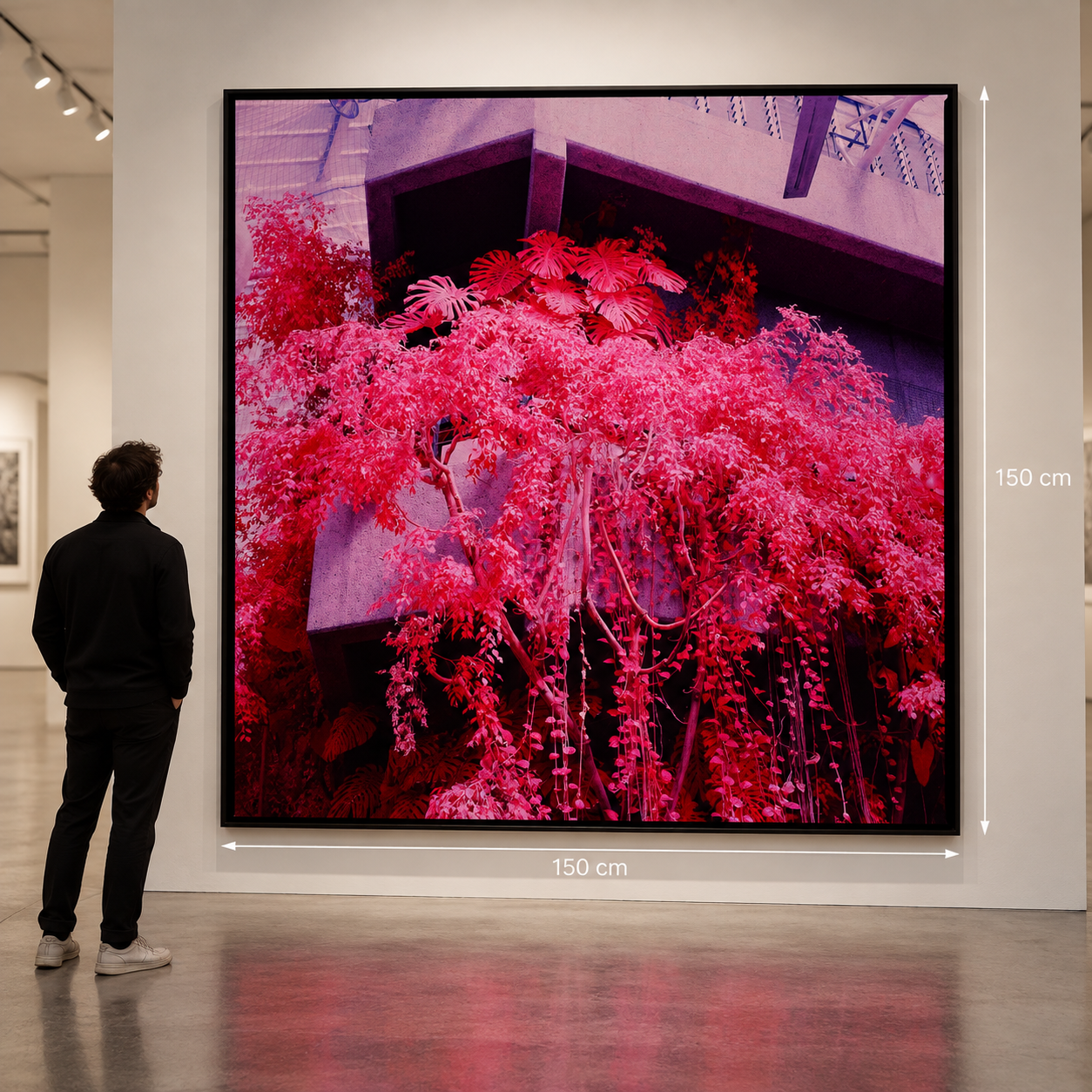 Magenta Botanical Gallery Installation.png