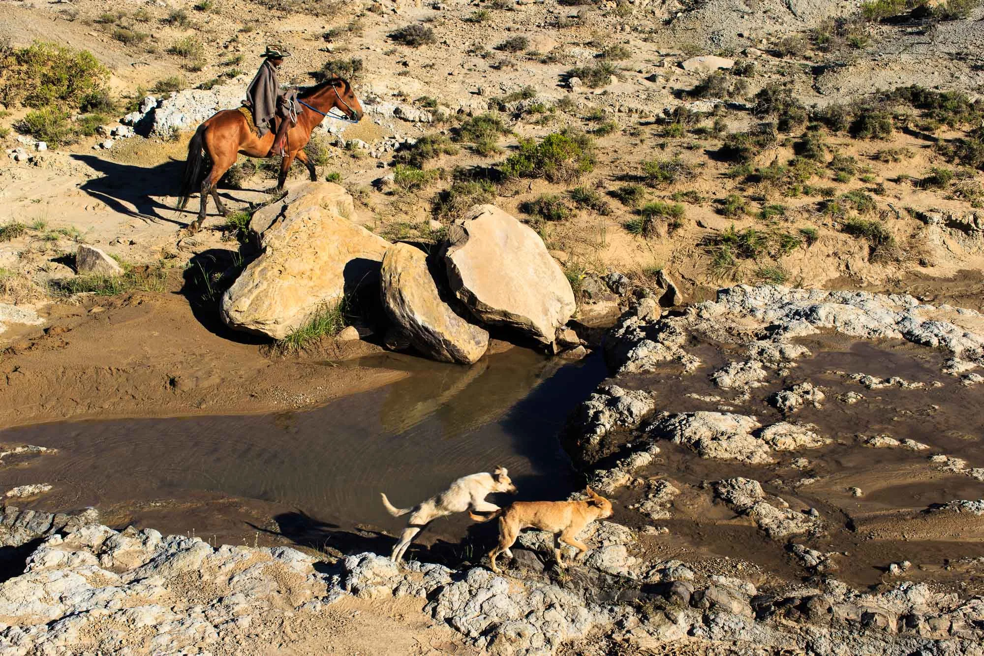 African Cowboys-1.jpg