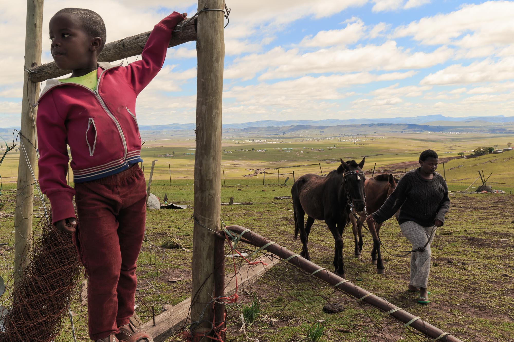 African Cowboys-5.jpg