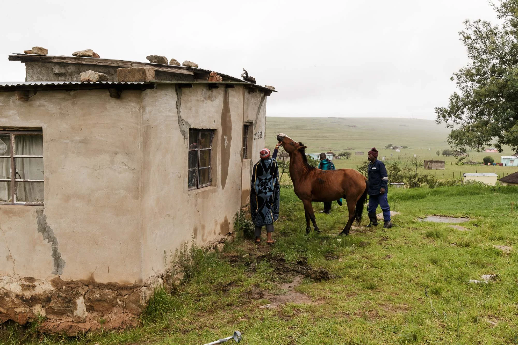 African Cowboys-6.jpg
