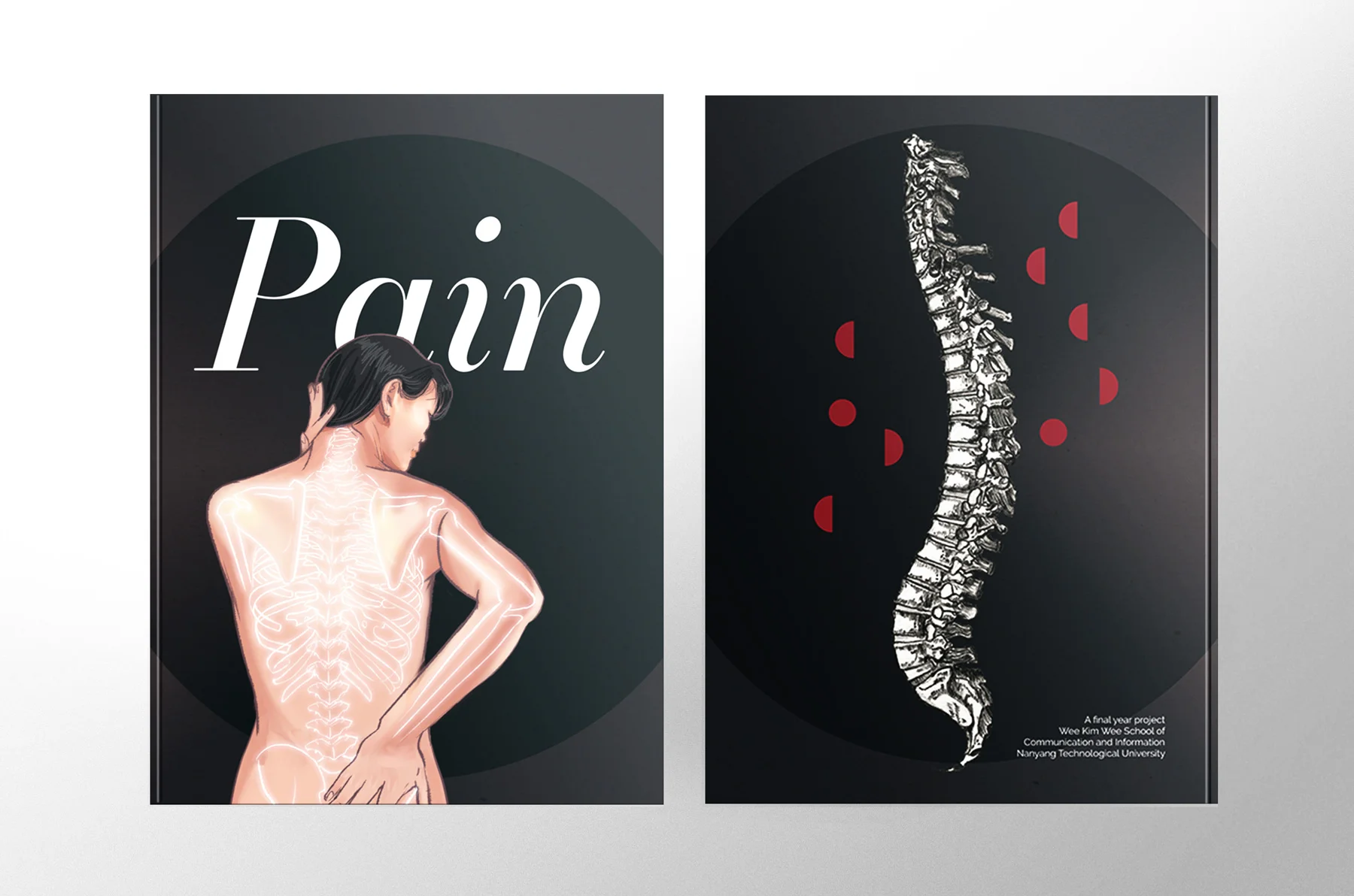 Pain: A Final Year Project