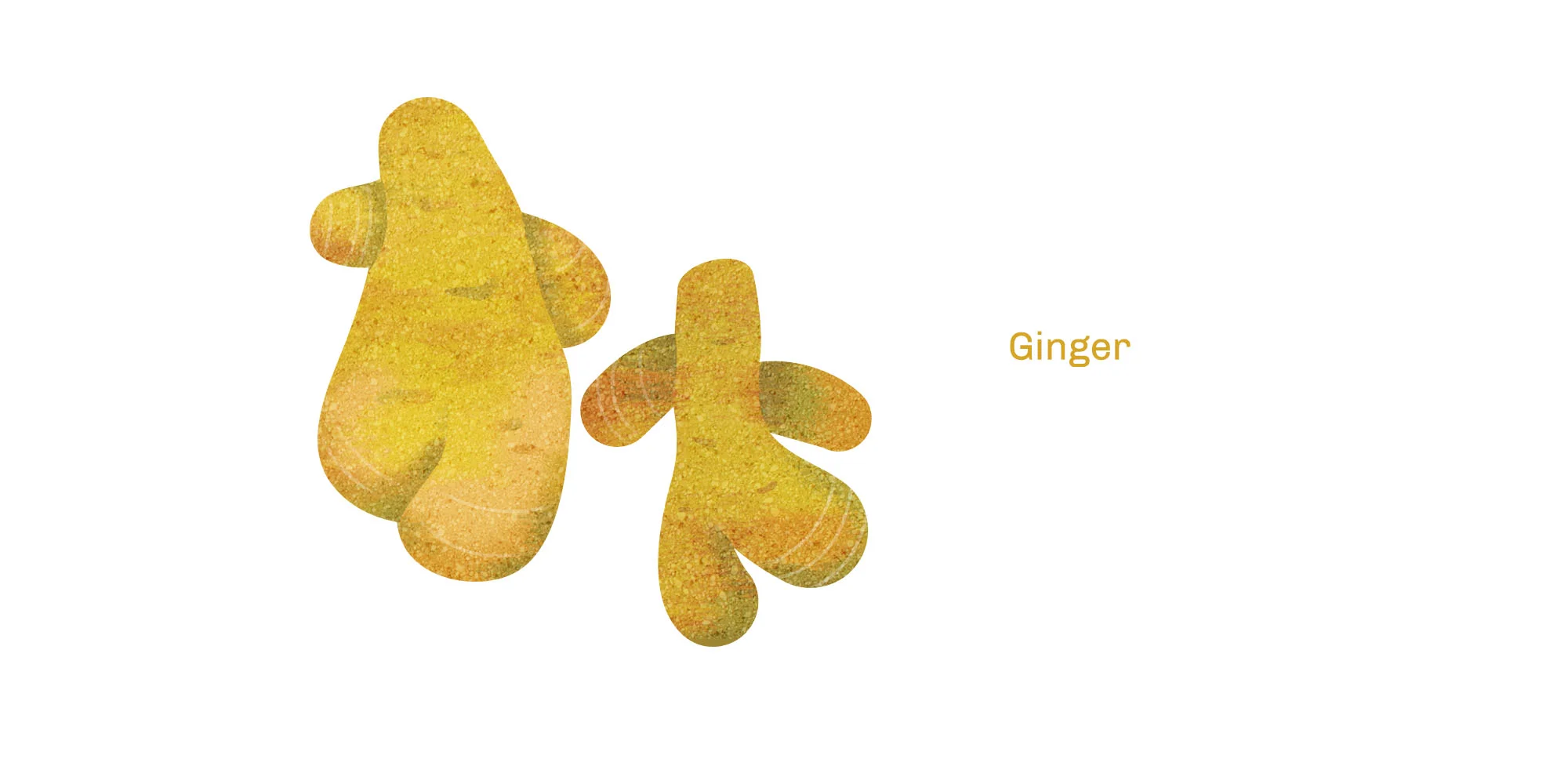 ginger.jpg
