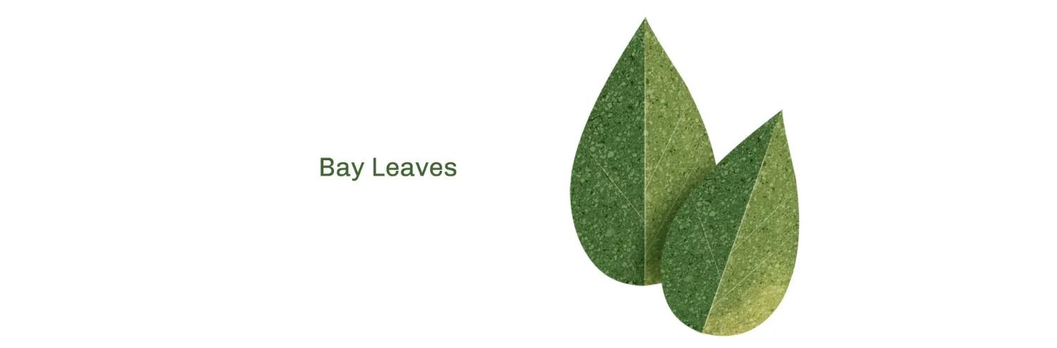 bay leaves.jpg