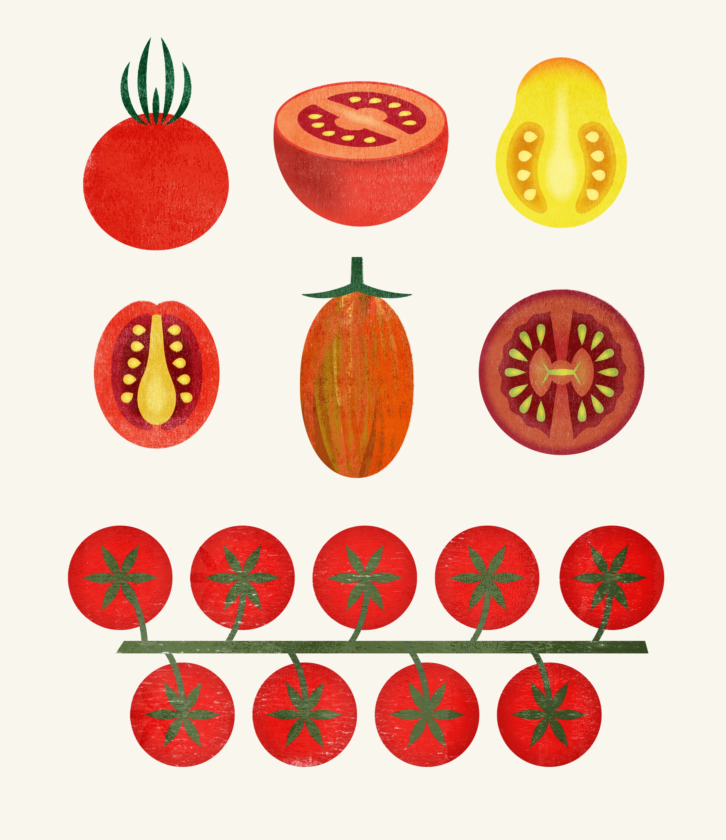 illustration-food2.jpg