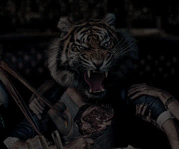 Tiger-360x300-v2-min.gif