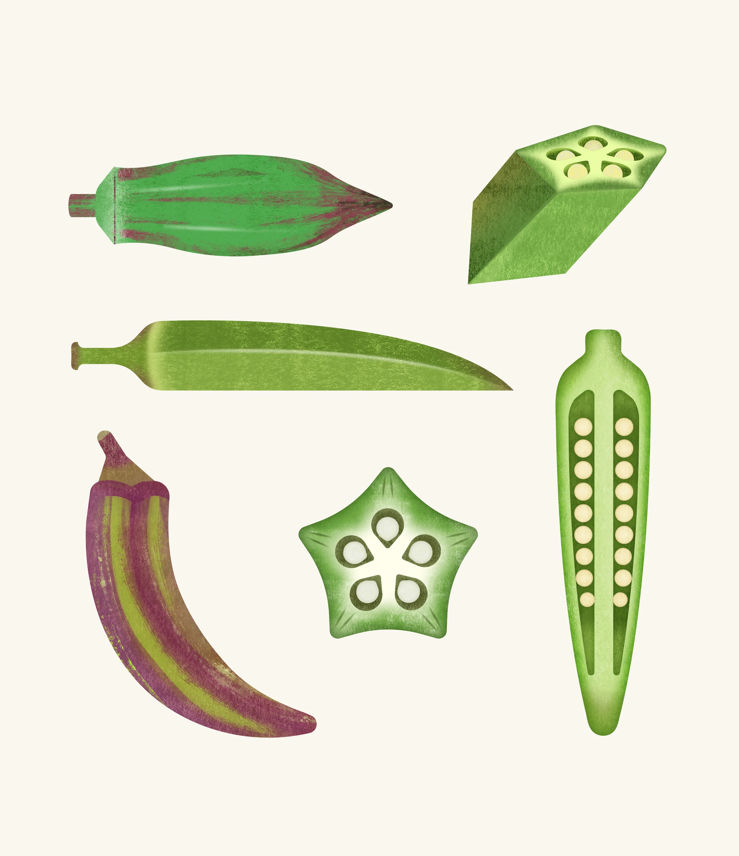illustration-food-okra.jpg