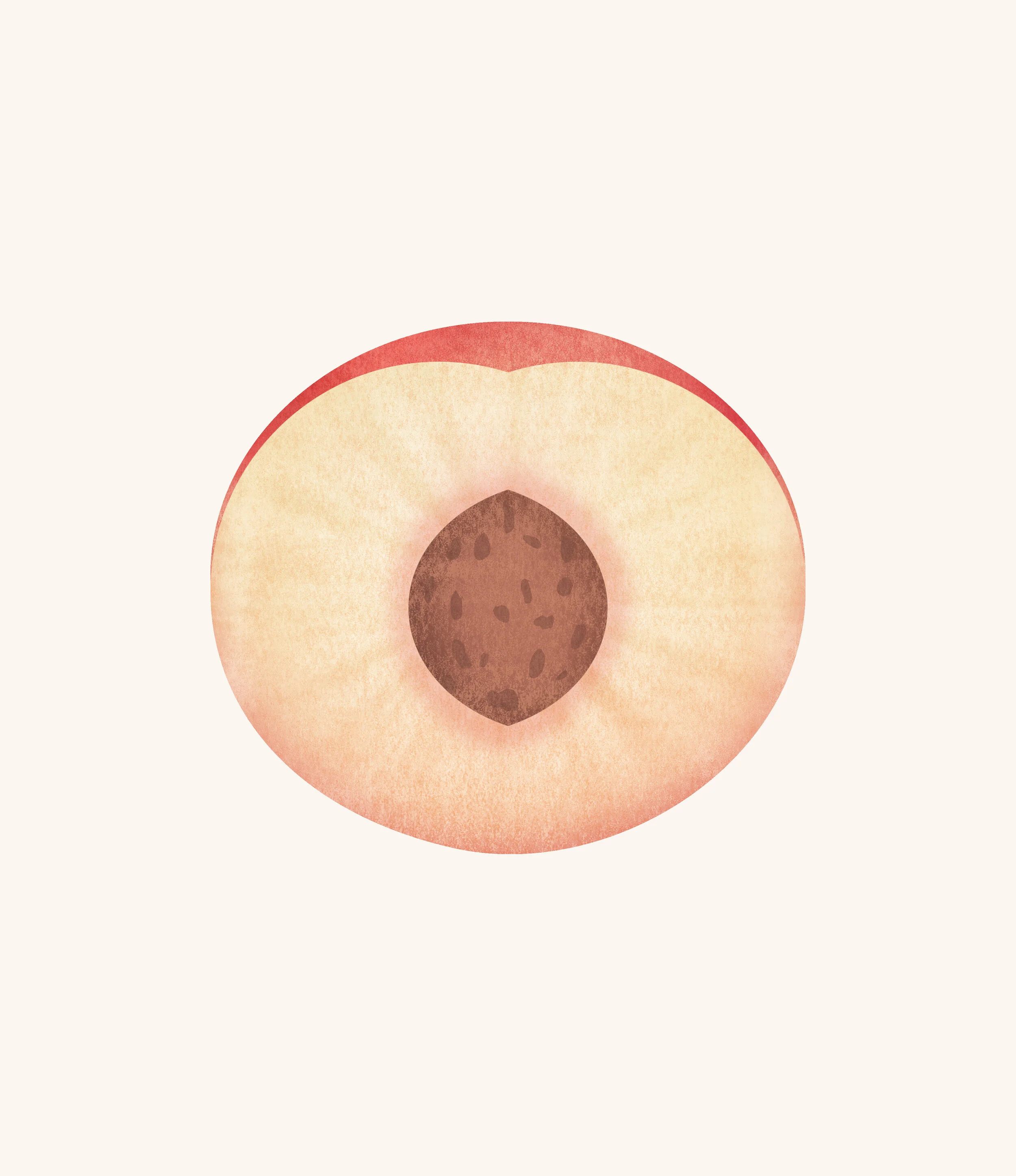 illustration-food4-peach.jpg