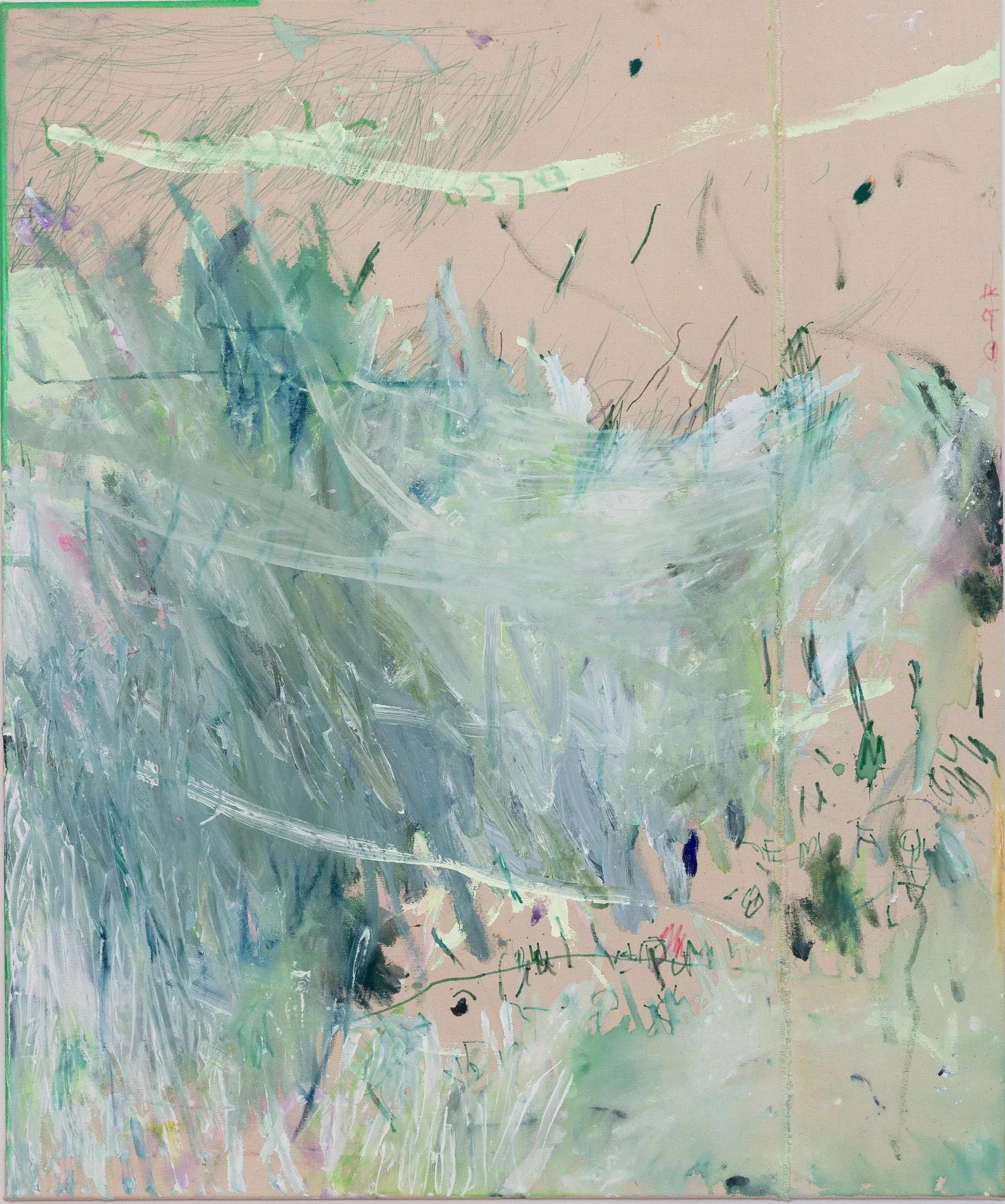 Bekkenutte_Adelaars vacht_2025.jpg