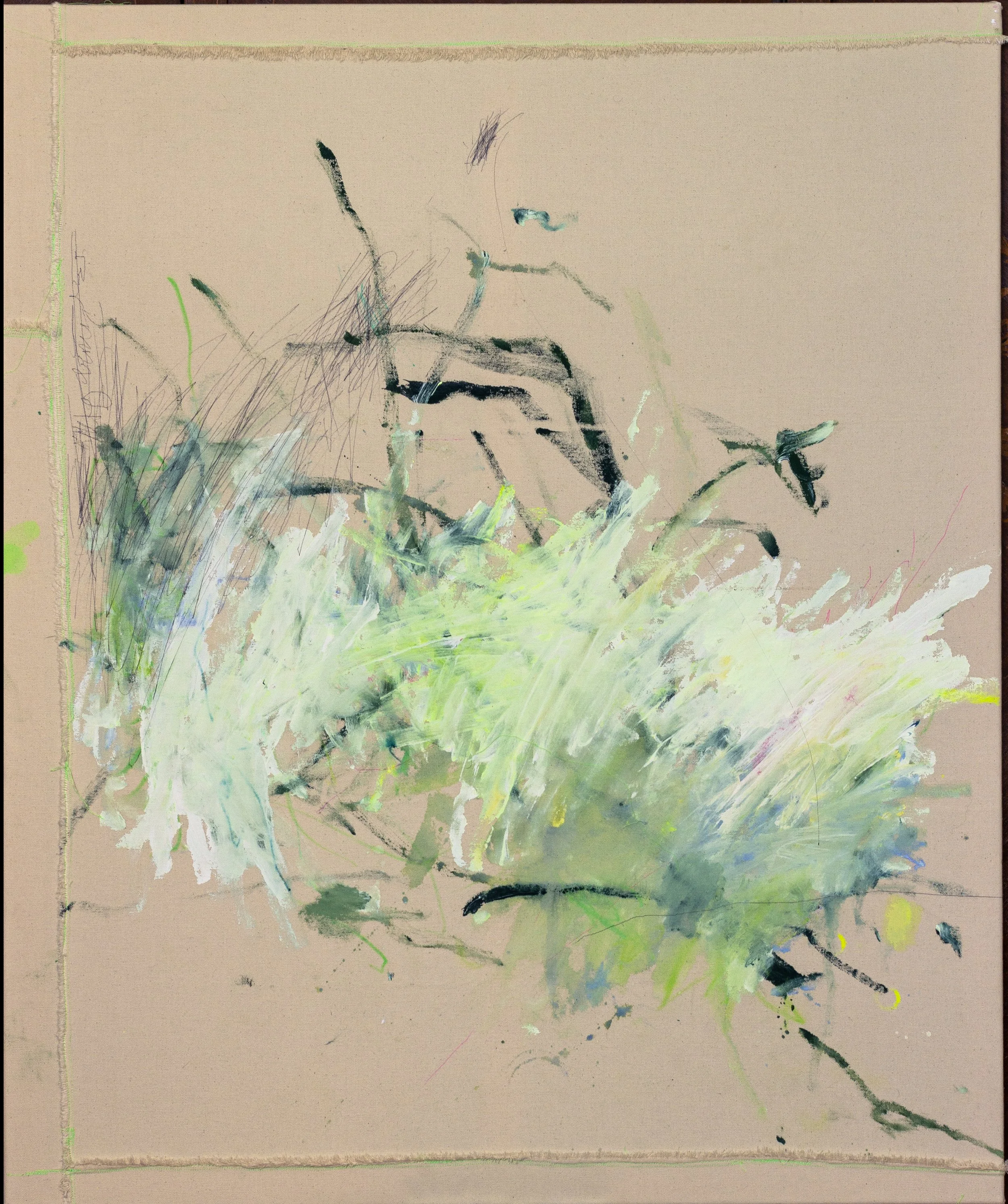 Bekkenutte.Beija Flor.8.jpg