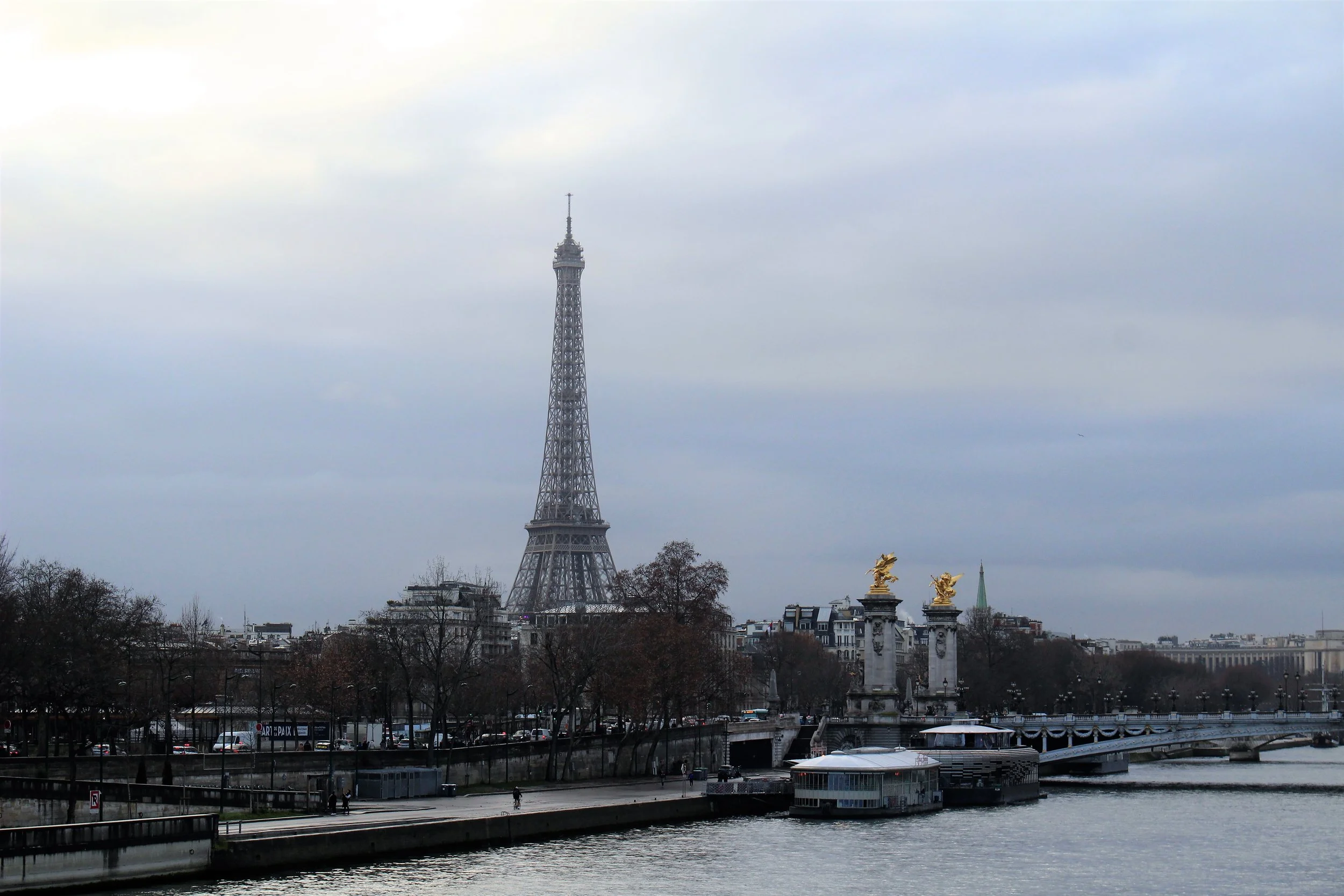 IMG_2105.jpg