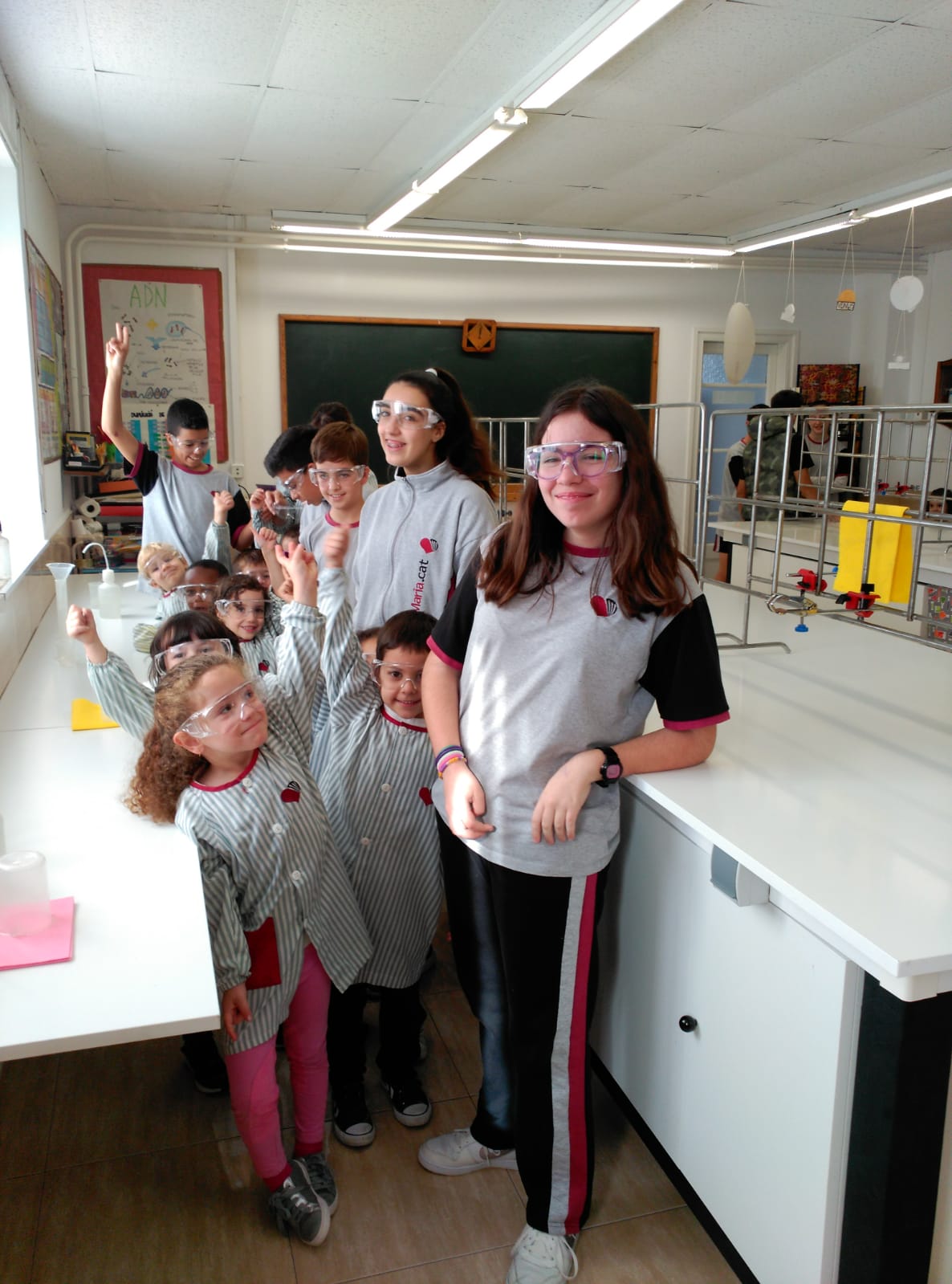 MILLORA DEL LABORATORI