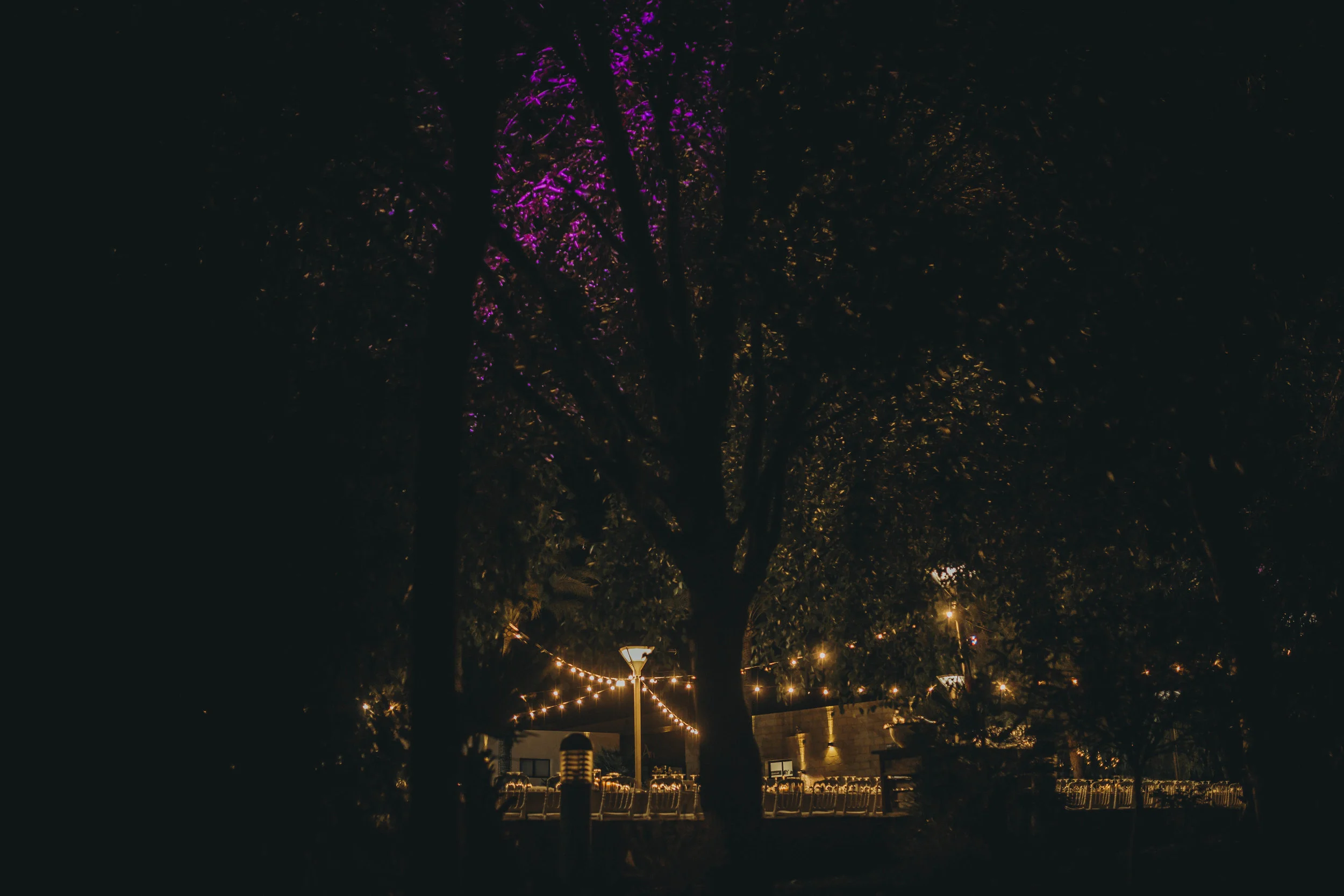 _MG_8313.jpg