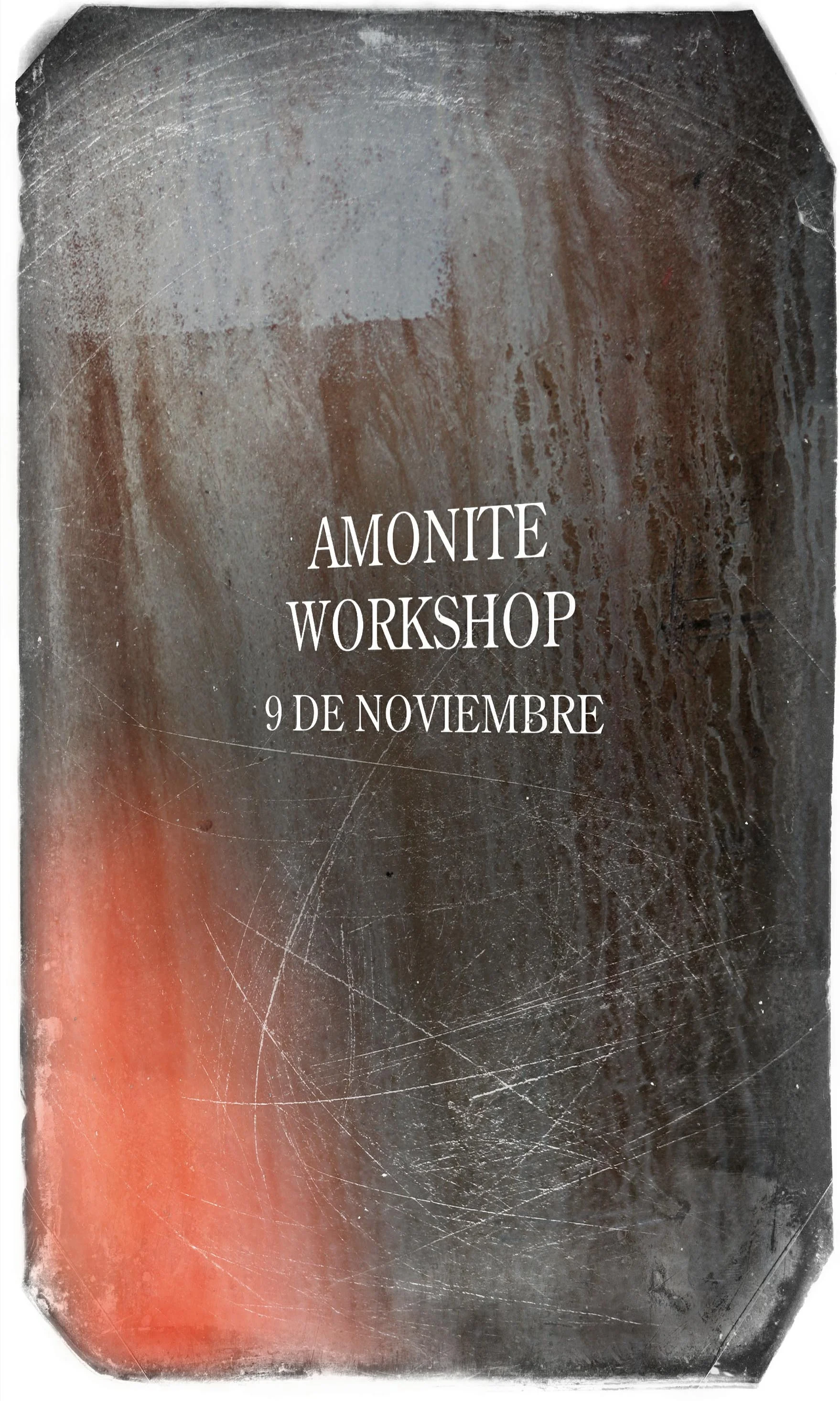 AMONITE WORKSHOP.jpg