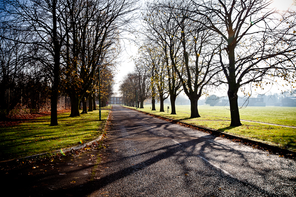 Tree lined avenue Oakington Barracks_Phase 2.jpg