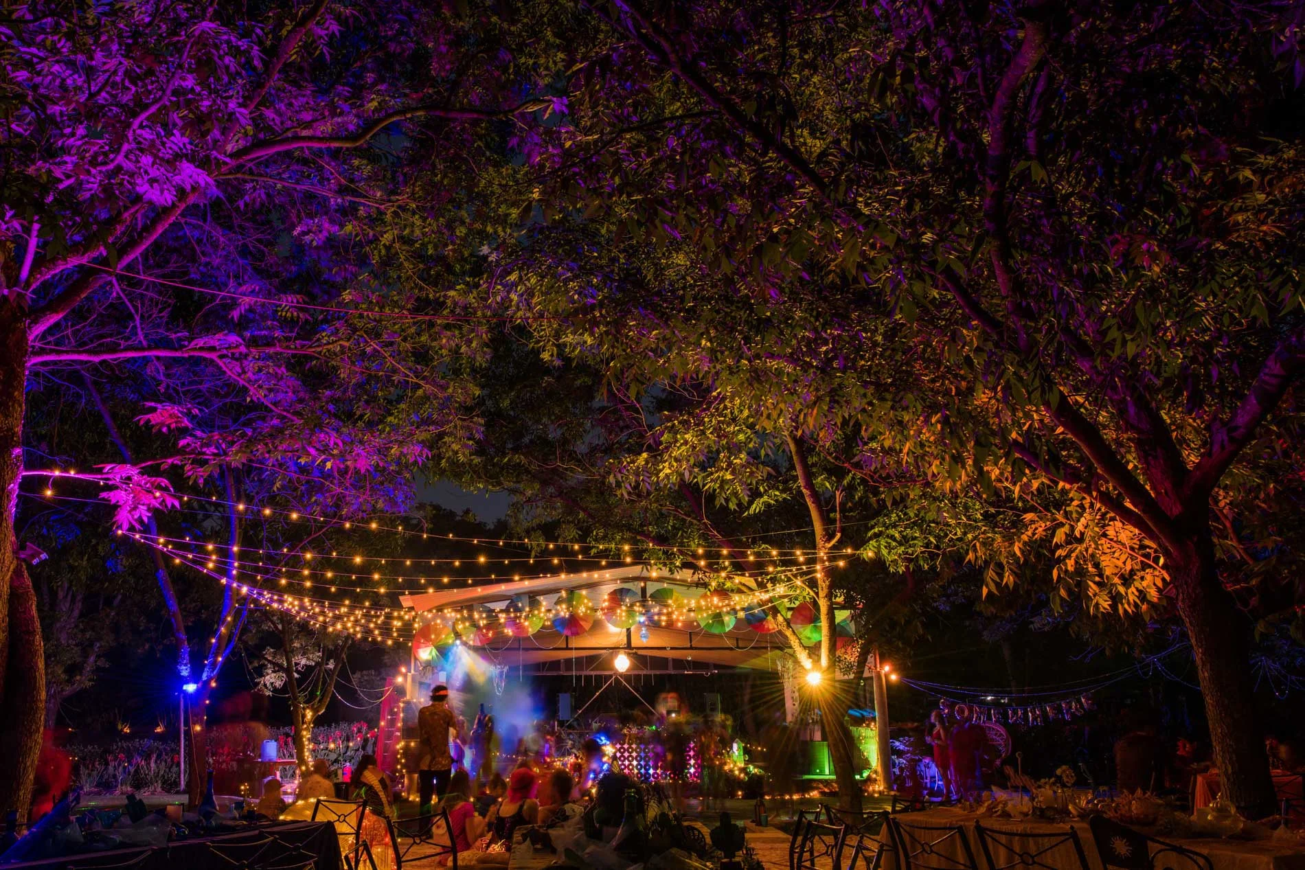 berry-delightful-stage-night.jpg