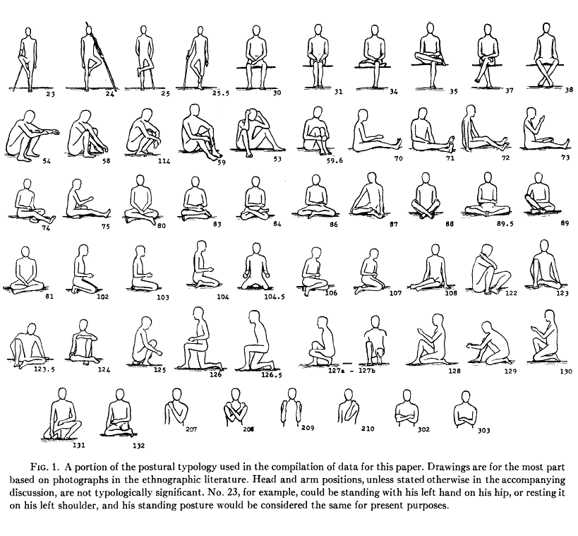 sitting.jpg