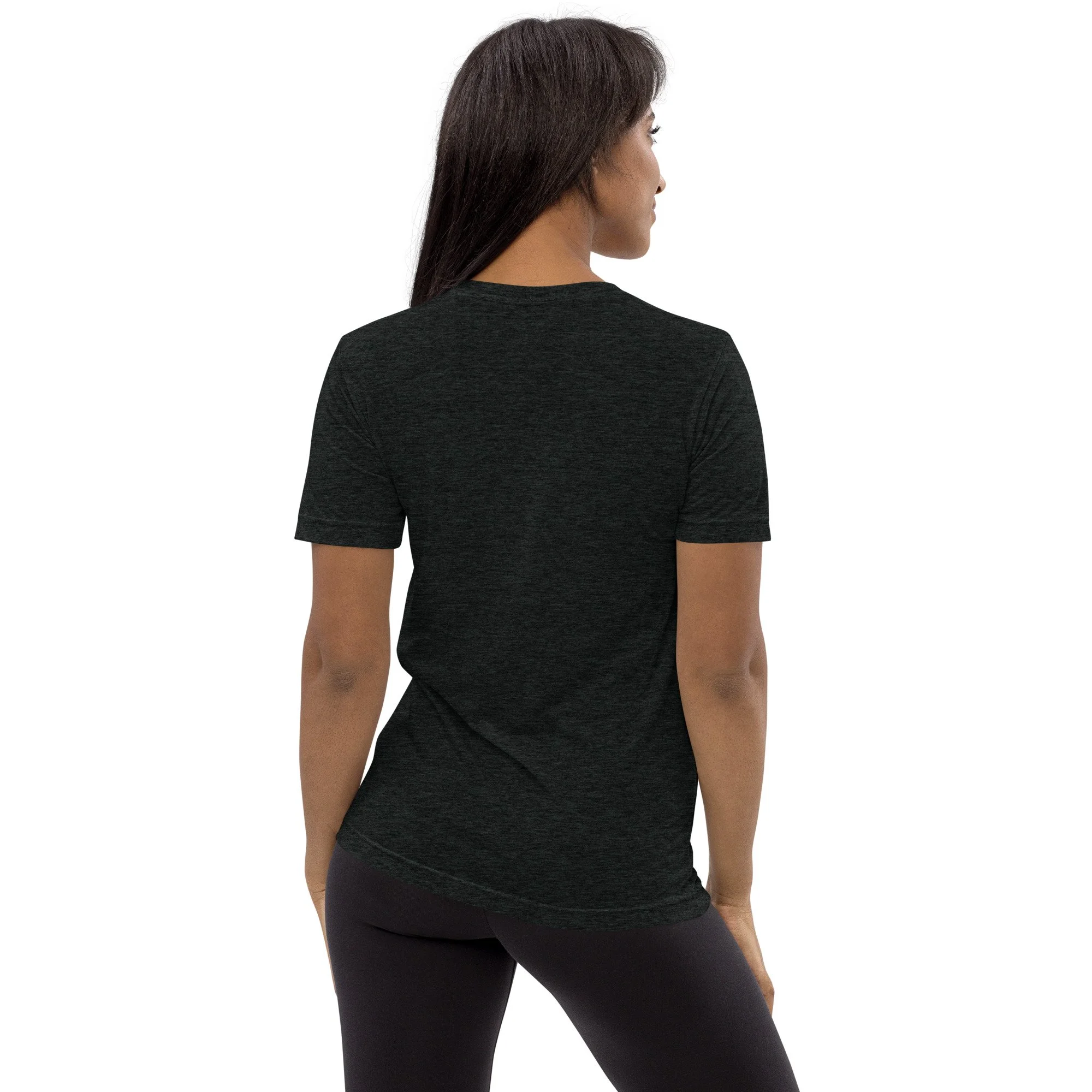 unisex-tri-blend-t-shirt-charcoal-black-triblend-back-68927caa7fe0d.jpg