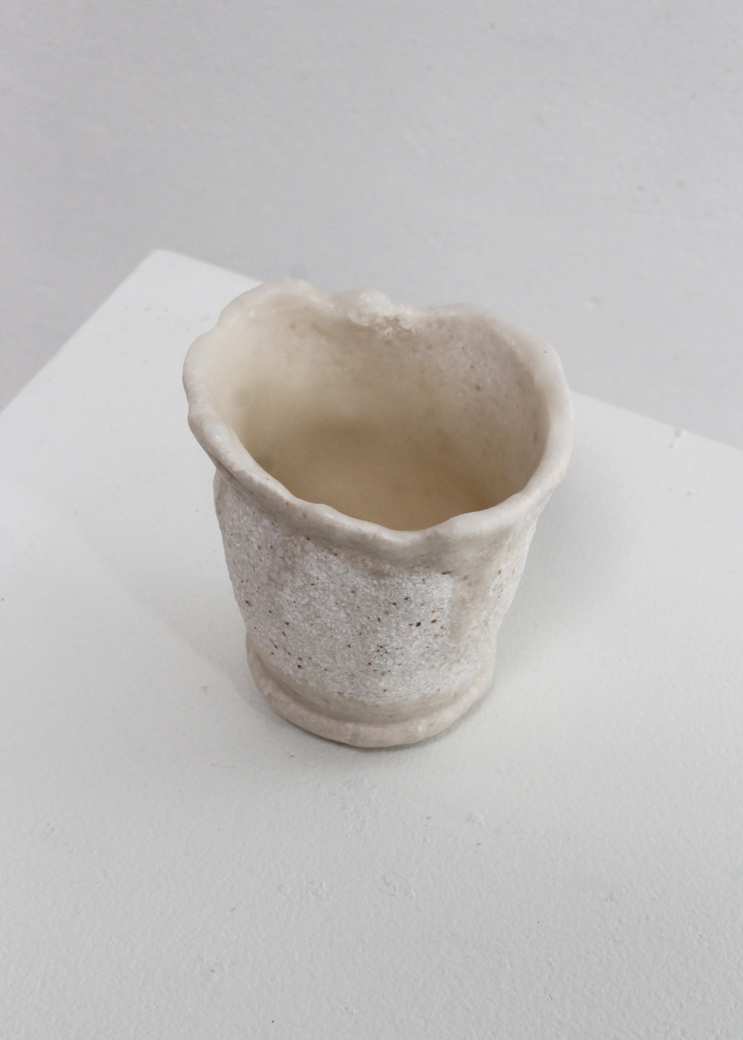 eggshell replanter 23.2.jpg