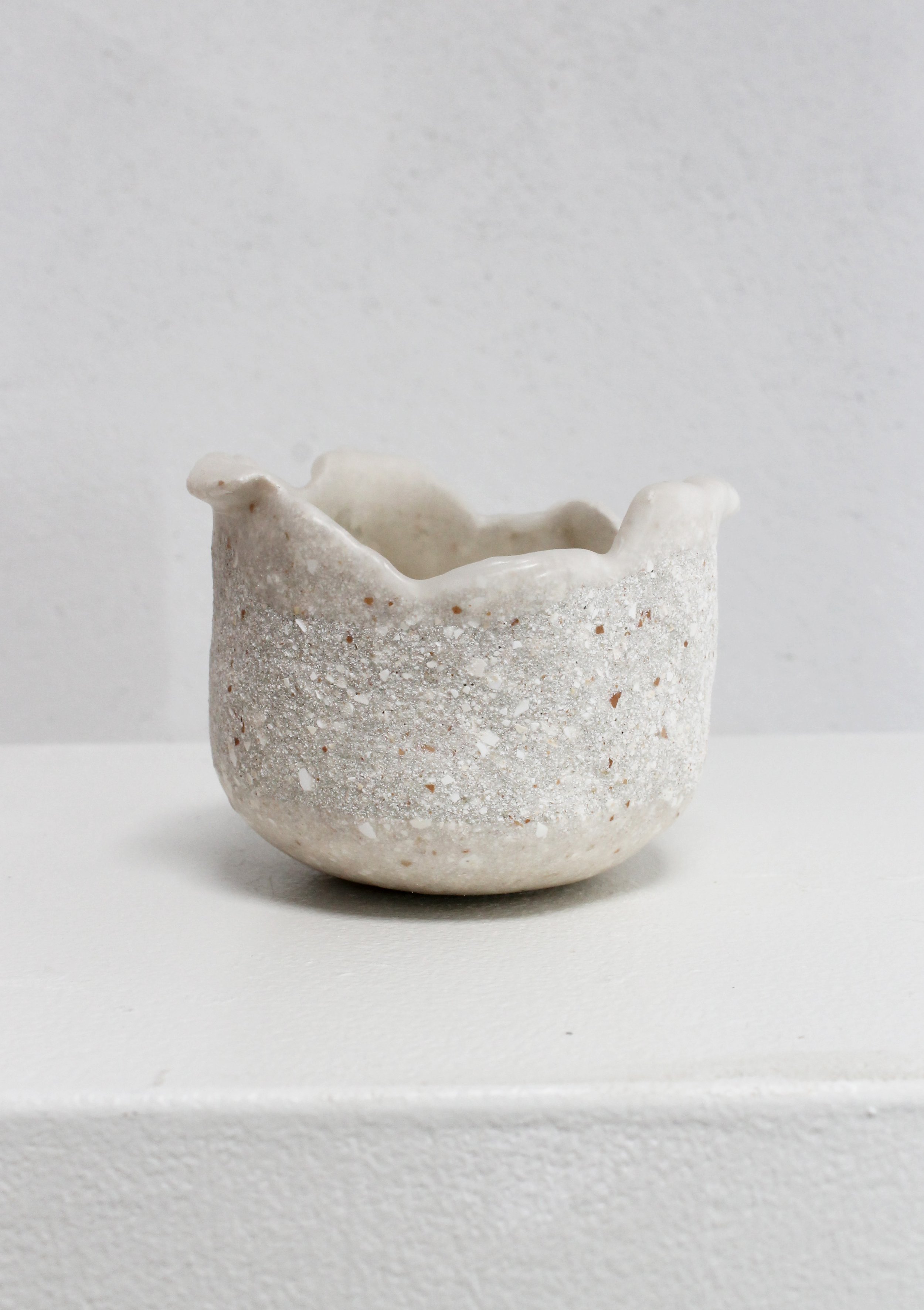 eggshell replanter 28.1.jpg