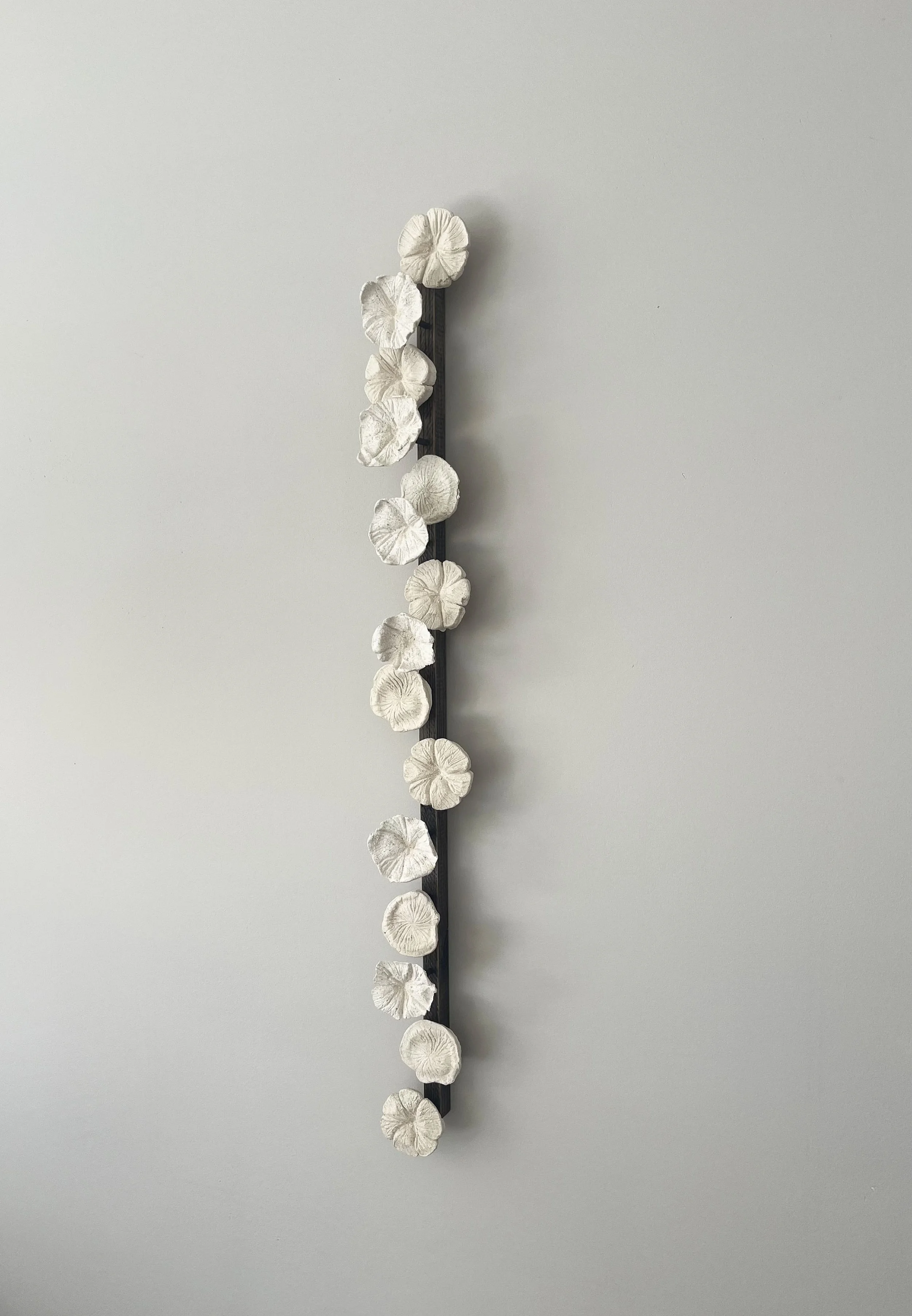 Meraki Large 2026.jpg