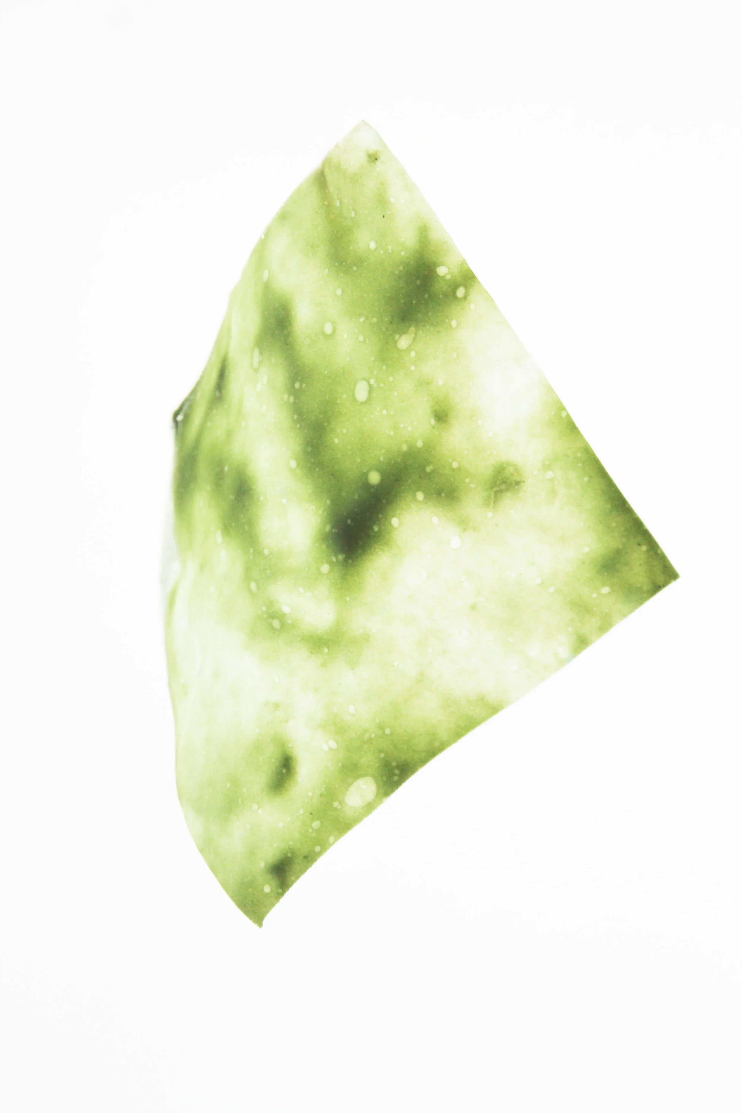 groene aarde 2.jpg
