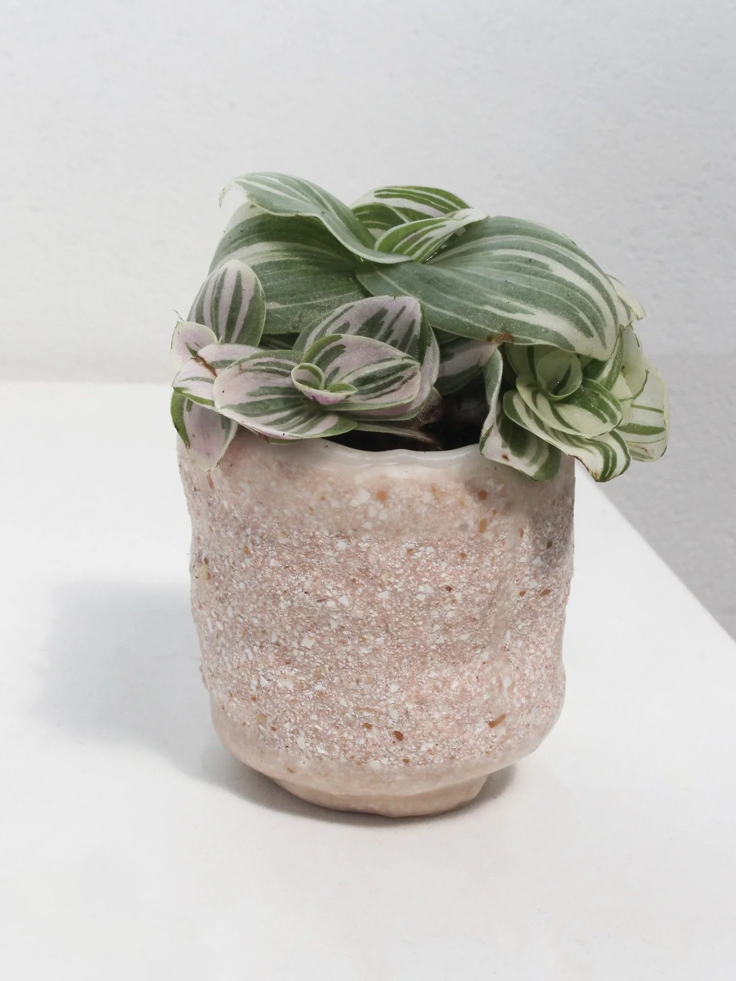 Eggshell Re-Planter 🌸

Find more unique planters is our shop