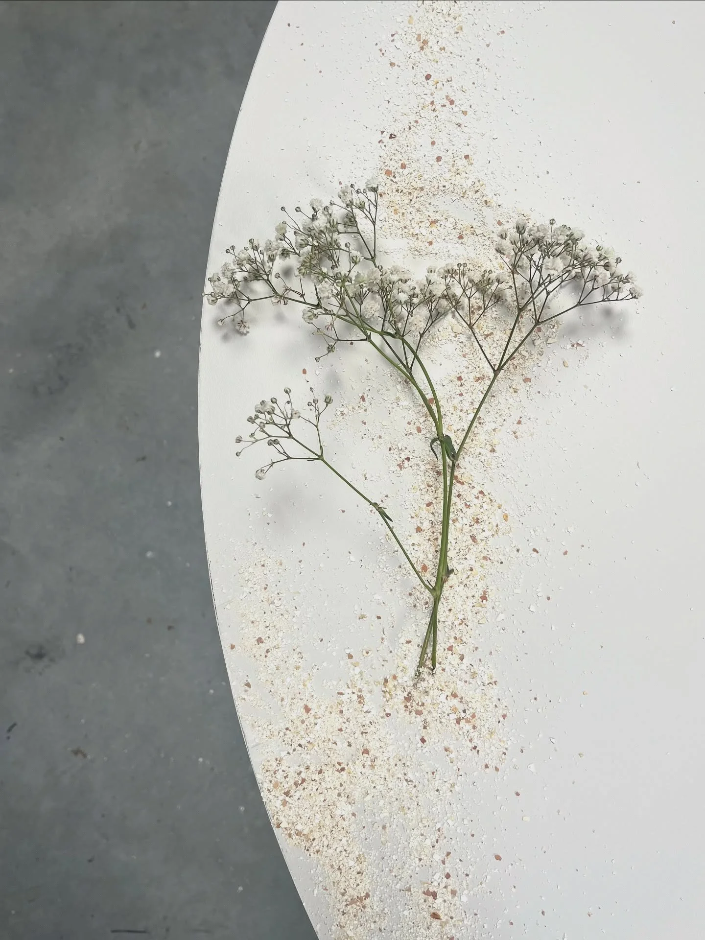 Preps for @dutchdesignweek 
I will be showing some new work at @something.events_nl 
Location:
Schellensfabriek 
Bleekweg 1 / Vestdijk
#design #exhibition #tbc 
@eggshell_ceramic