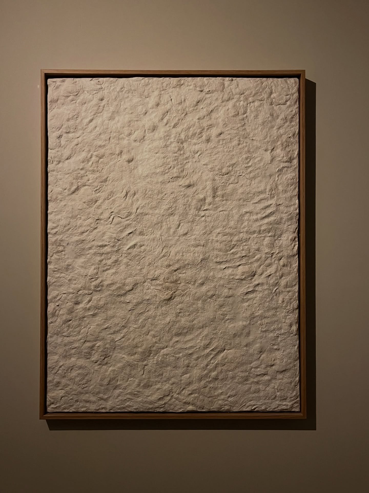 Fibre Panel in evening light, rough surface playing with light and shadow 

Size: 80x60cm 
Material: waste fibre Forbo Flooring x plaster 
Frame: oak 

#minimalist #material #design