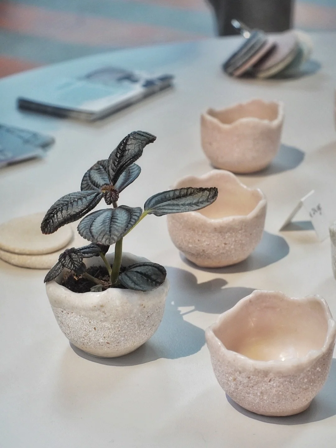 Eggshell Re-Planters 🥚

Every planter is made from 12 to 15 discarded consumer eggshells from The Netherlands. The pot is fully compostable but durable due to its waterproof coating. 

Photo 1 &amp; 2 by @jelmer.reus shot during last year Dutch Desi