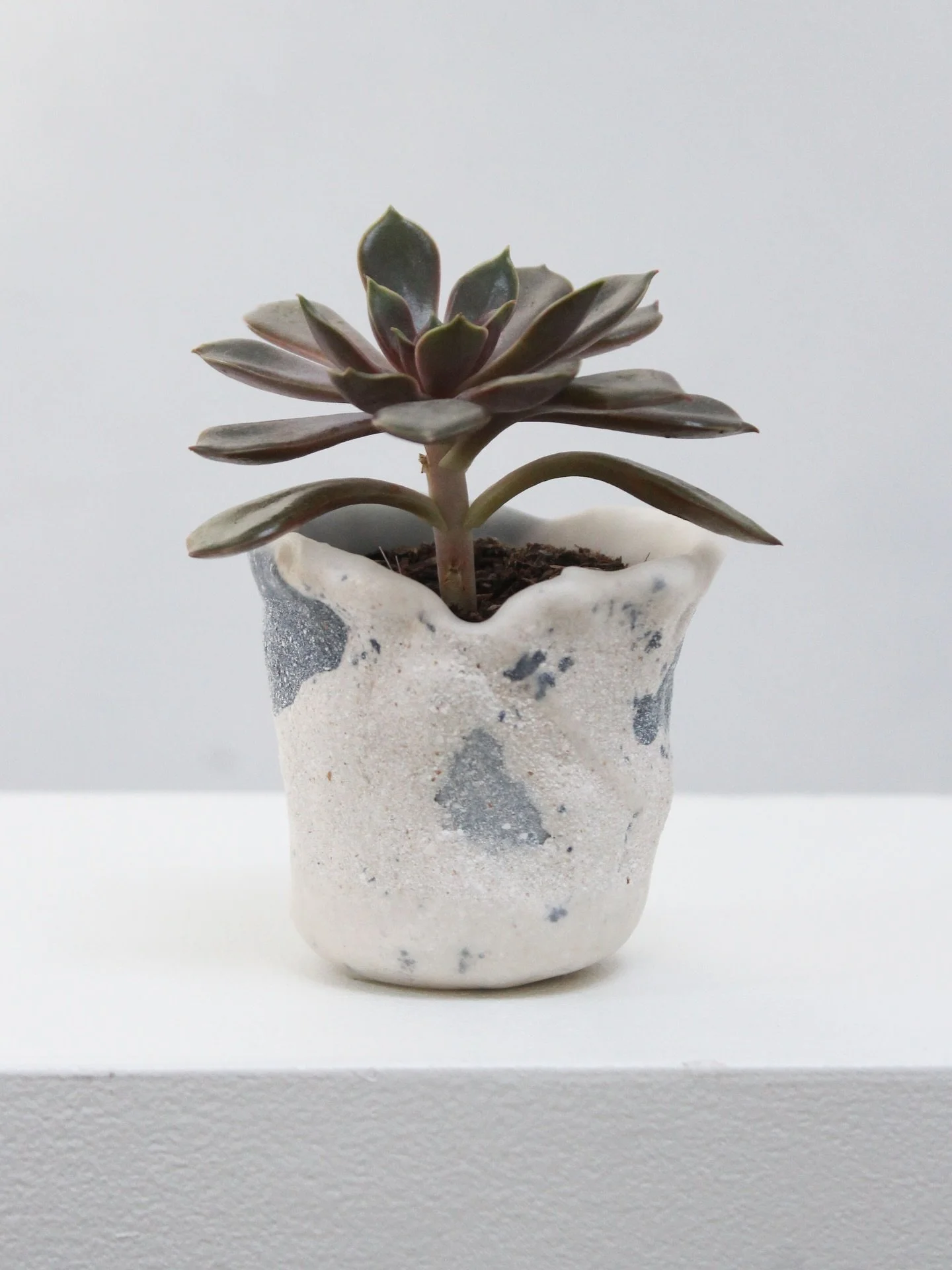 Eggshell Re-Planter no.21 
Unique piece 👩🏻&zwj;🎨

Made from 15 eggshells, tiny bit of Indigo &amp; coated with beeswax to make it waterproof 💦🍀

Suitable for tiny houseplants, as a small vase or to repot in the garden to bring back some calcium 