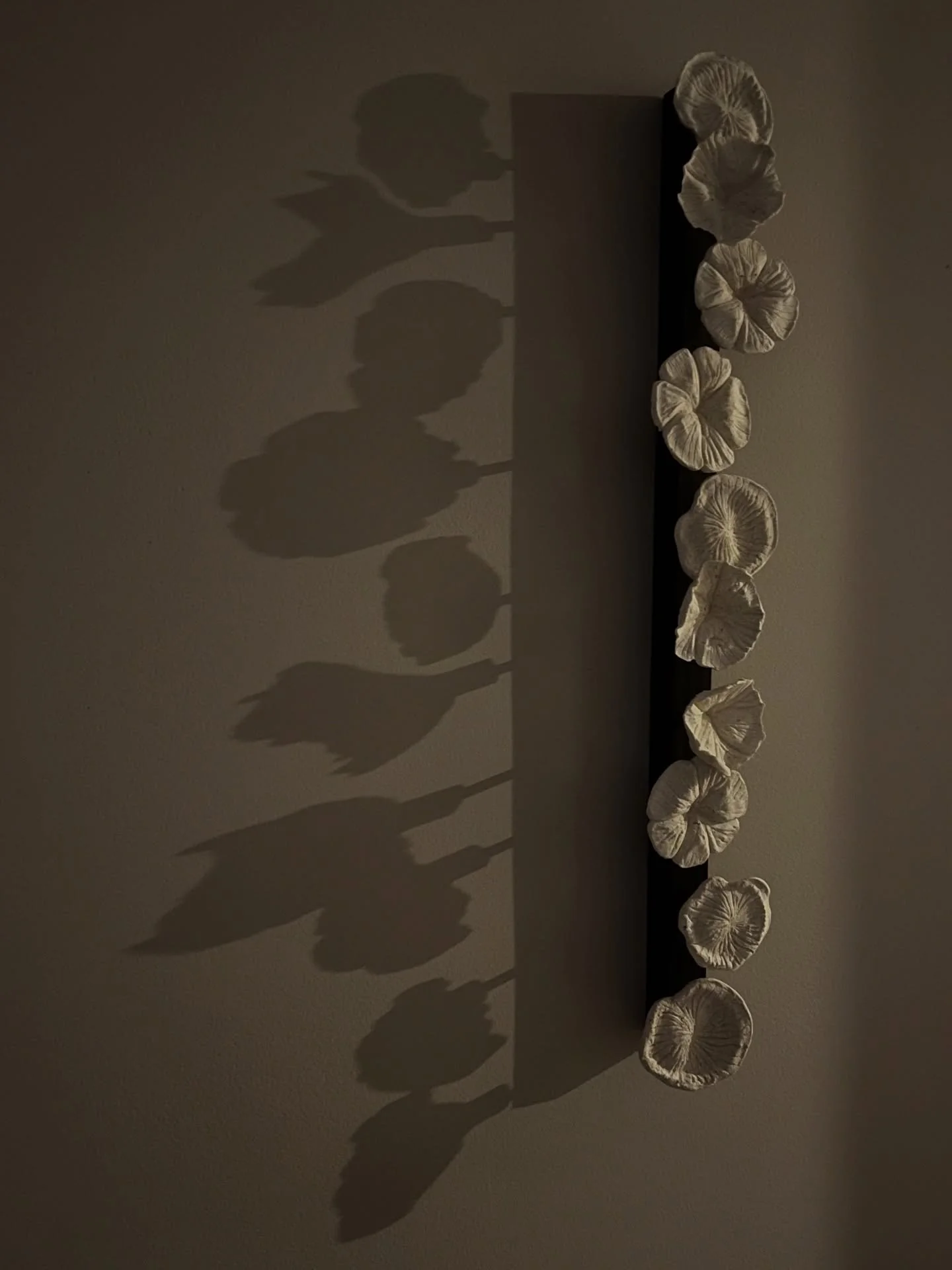 Meraki M. with 10 @eggshell_ceramic elements. Playing with light &amp; shadow