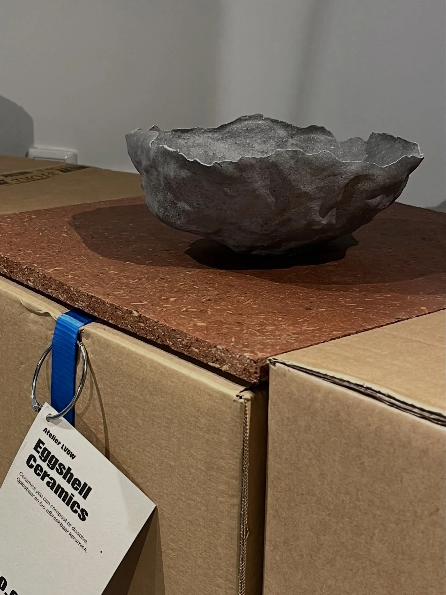 Find a selection of unique @eggshell_ceramic art bowls at Nieuwe Instituut Rotterdam. 

#eggshell #artwork #newstore #design #shop