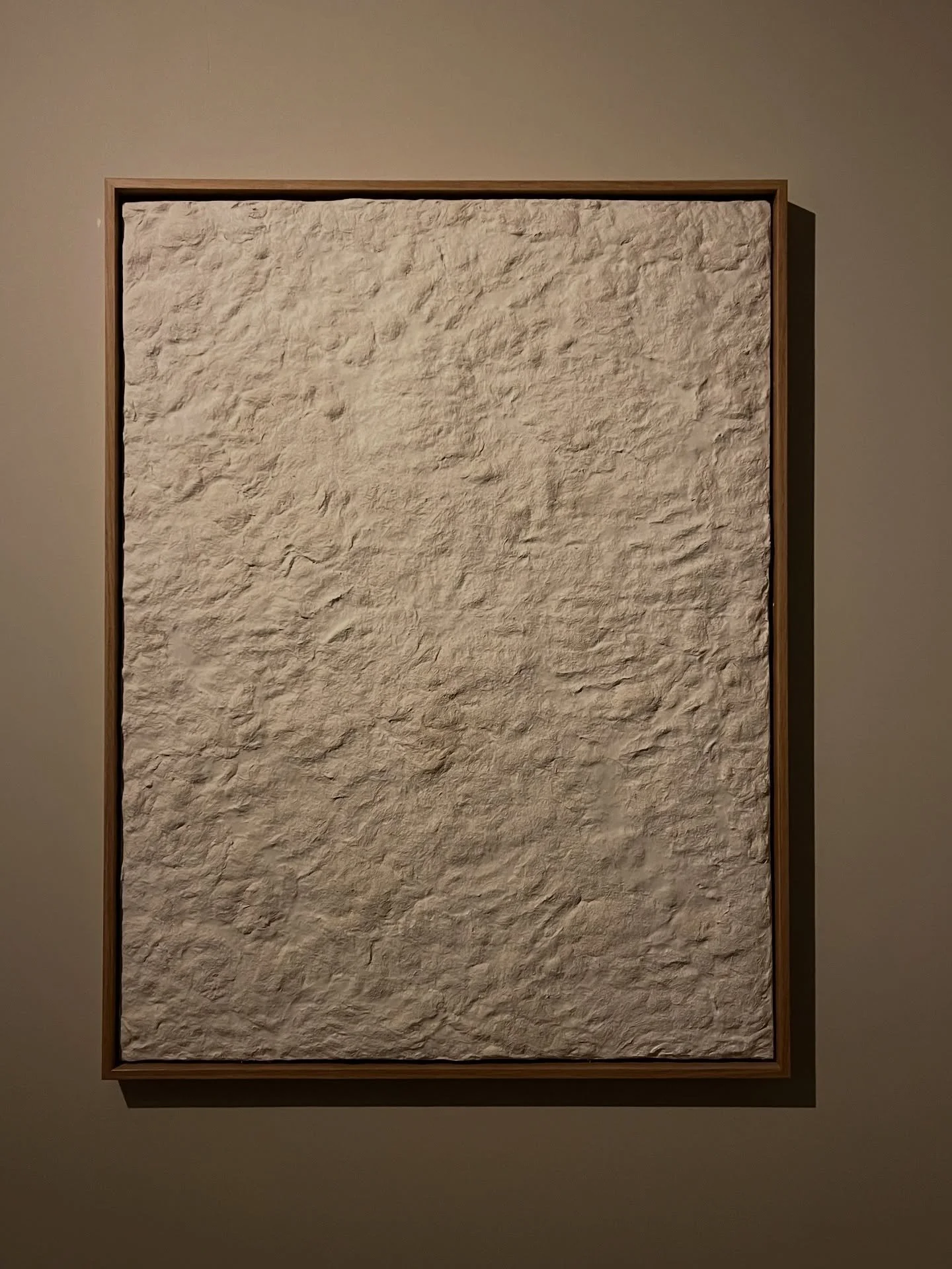 Fibre Panel in evening light, rough surface playing with light and shadow 

Size: 80x60cm 
Material: waste fibre Forbo Flooring x plaster 
Frame: oak 

#minimalist #material #design
