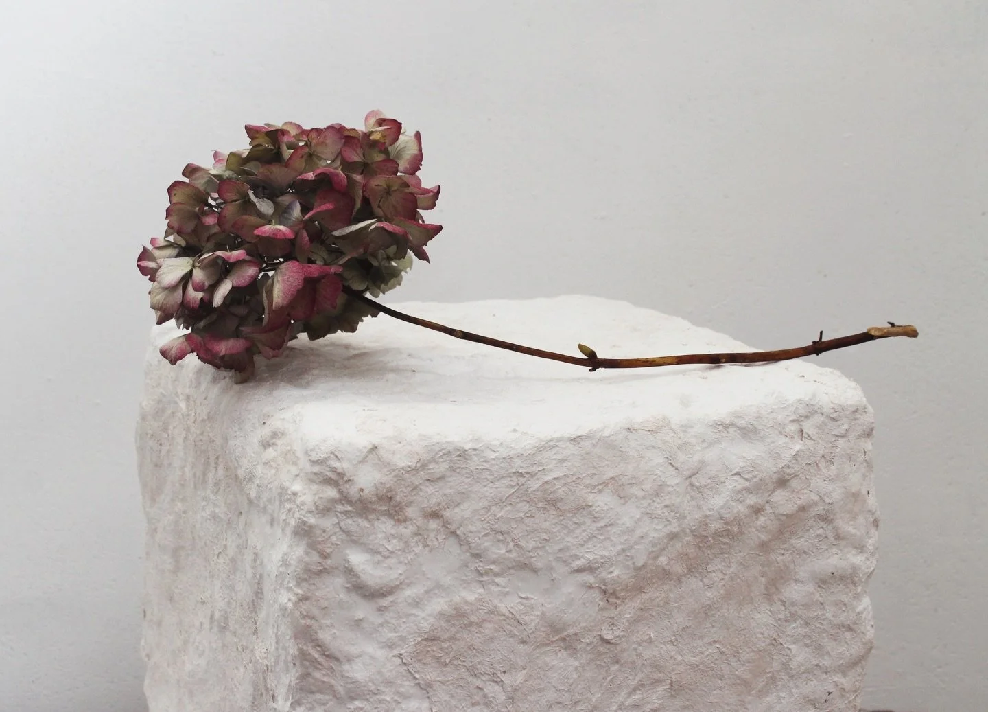 Fibre Cube. 

Plaster &amp; jute fibre, blended into furniture pieces. Made from 50% organic waste from the flooring industry