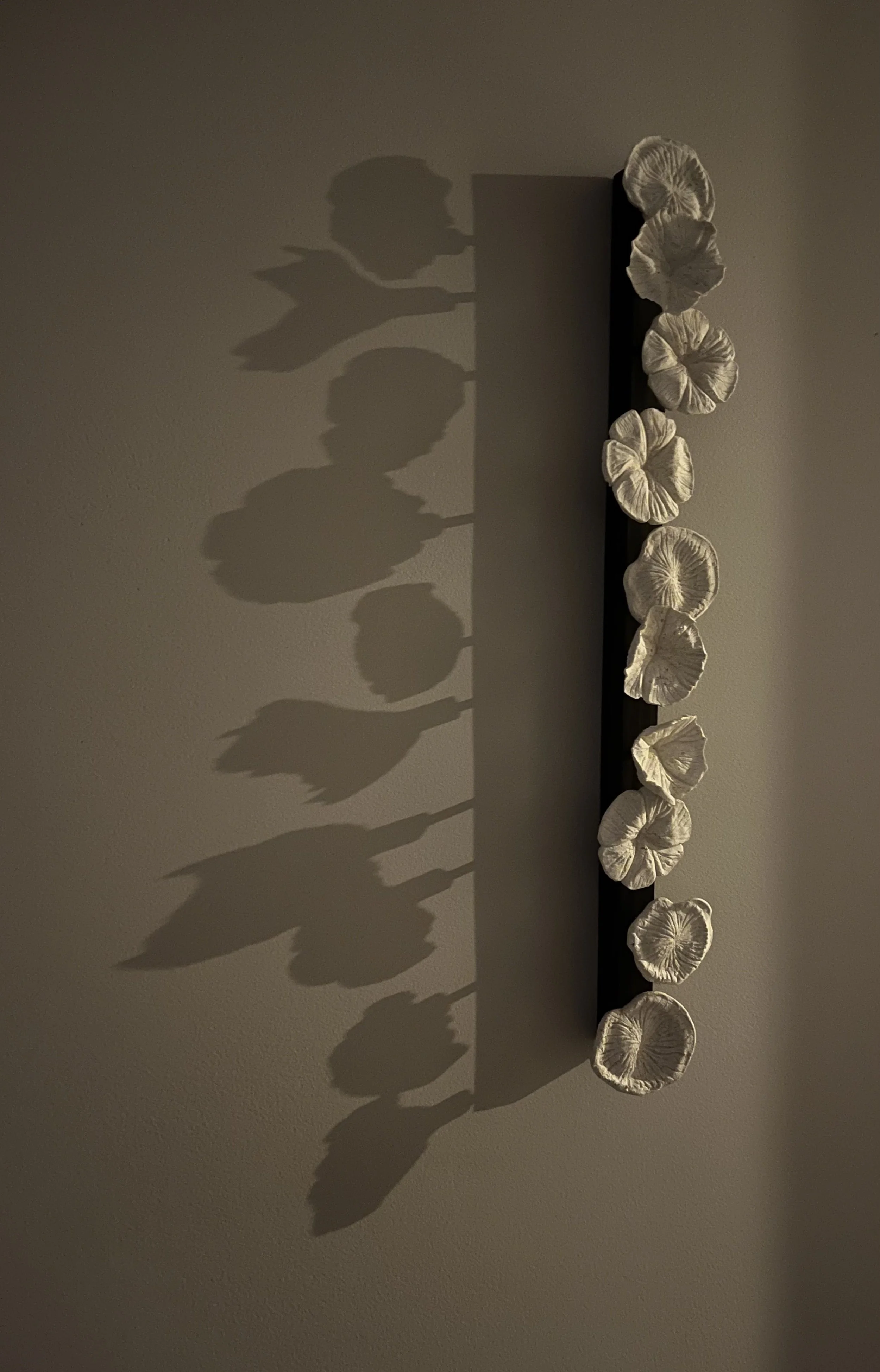 Meraki M. dark light.jpg