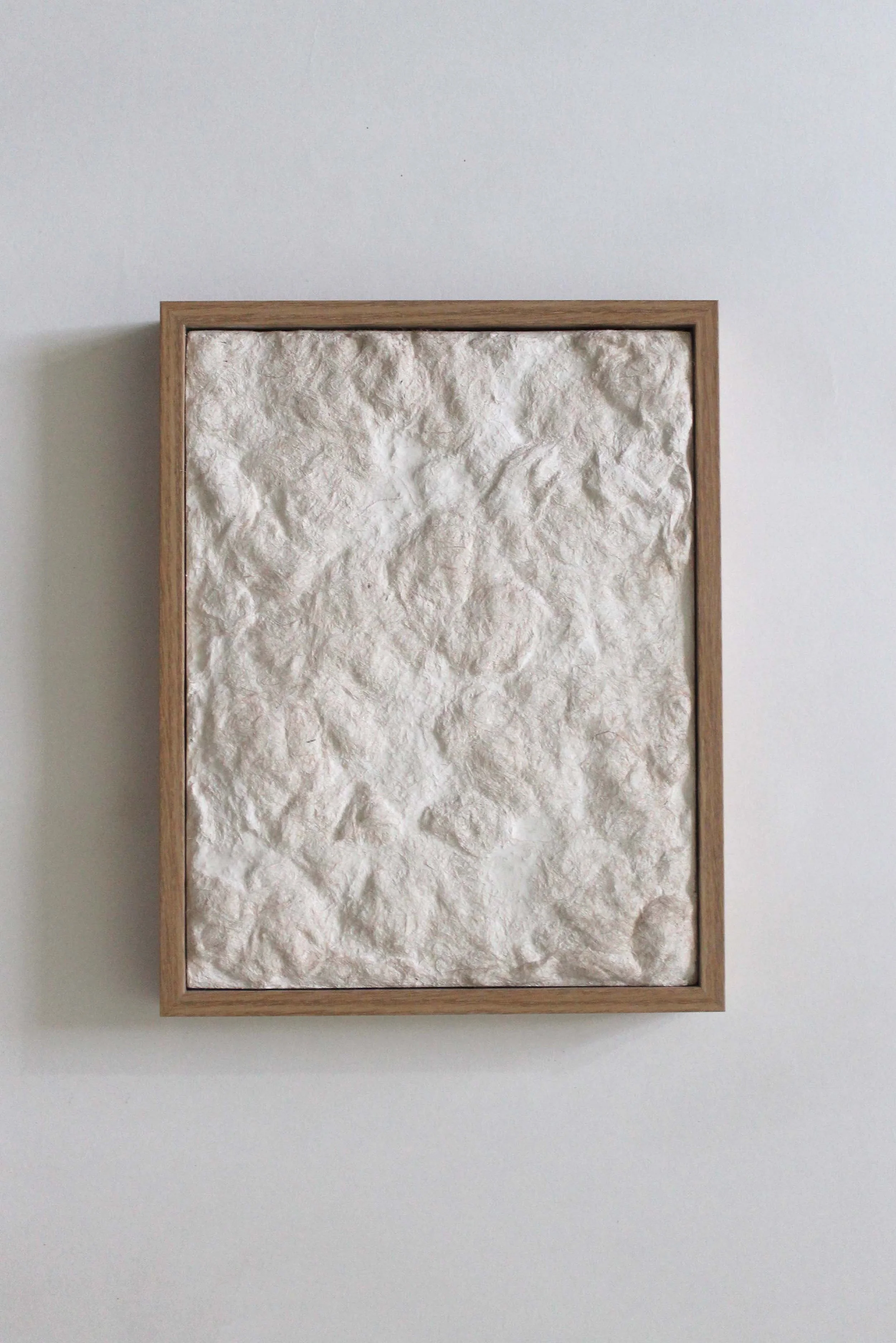 Fibre panel4 kopie.jpg