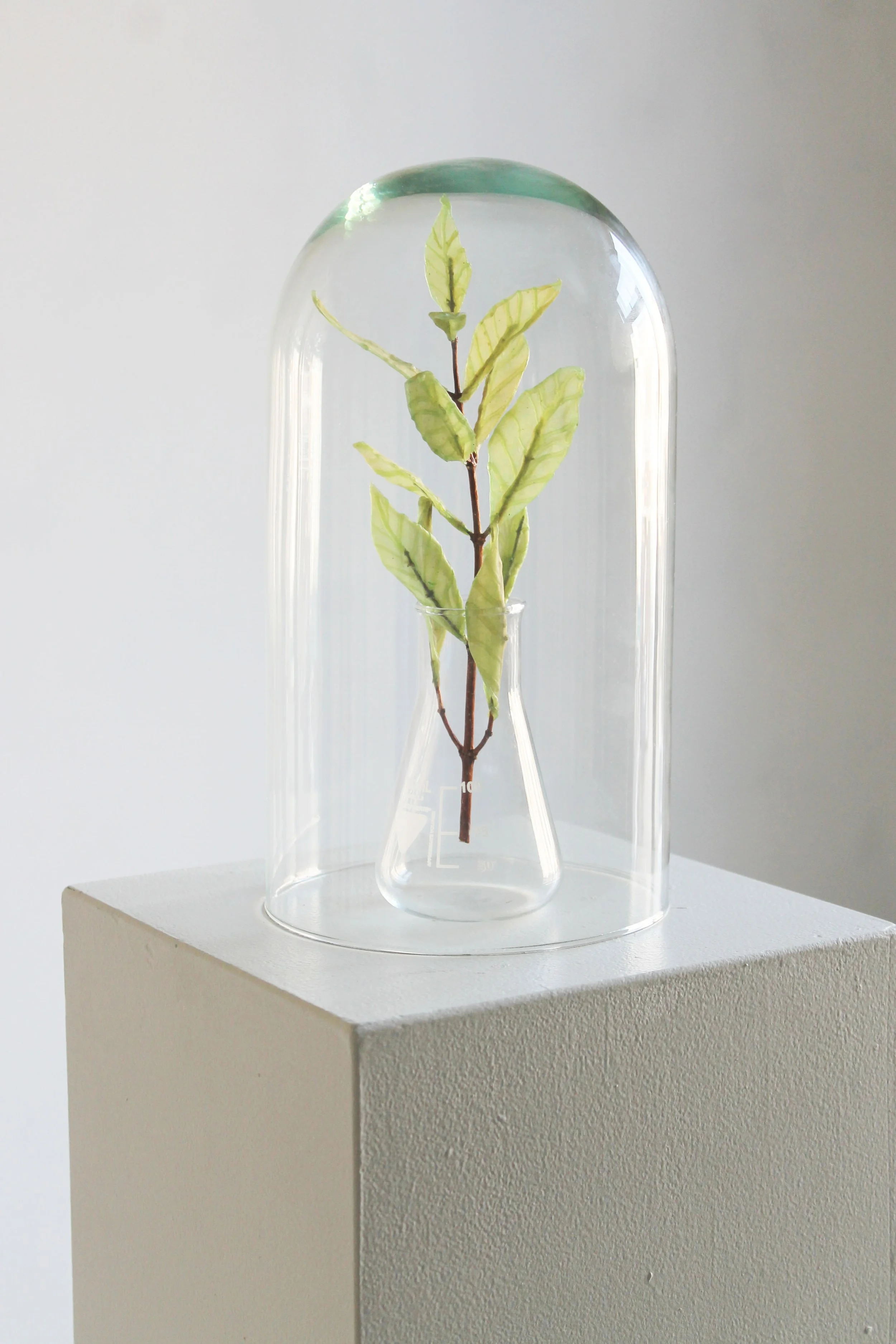Philia, Bio-Plant