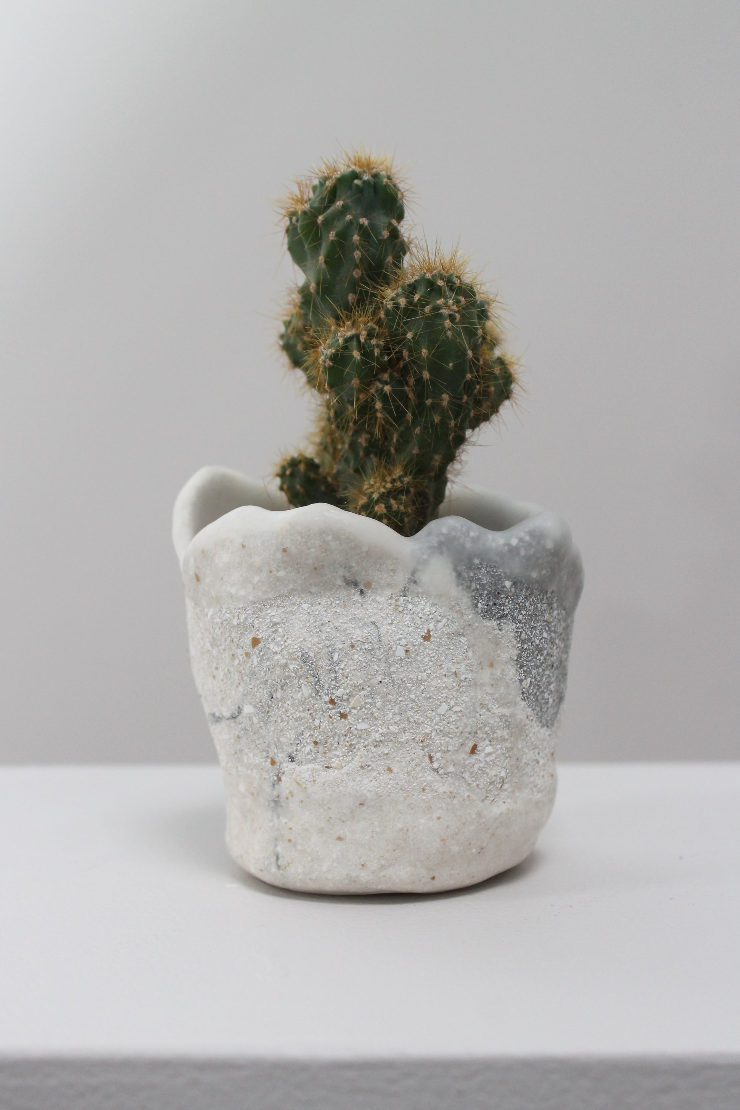 Eggshell Re-Planter #20