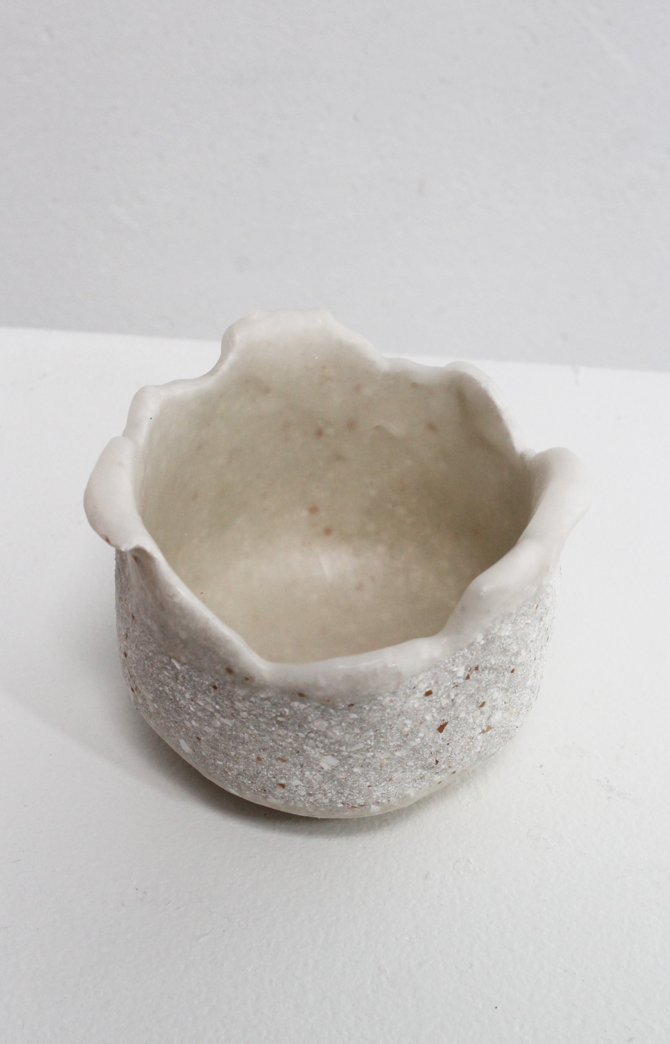 eggshell replanter 28.2.jpg